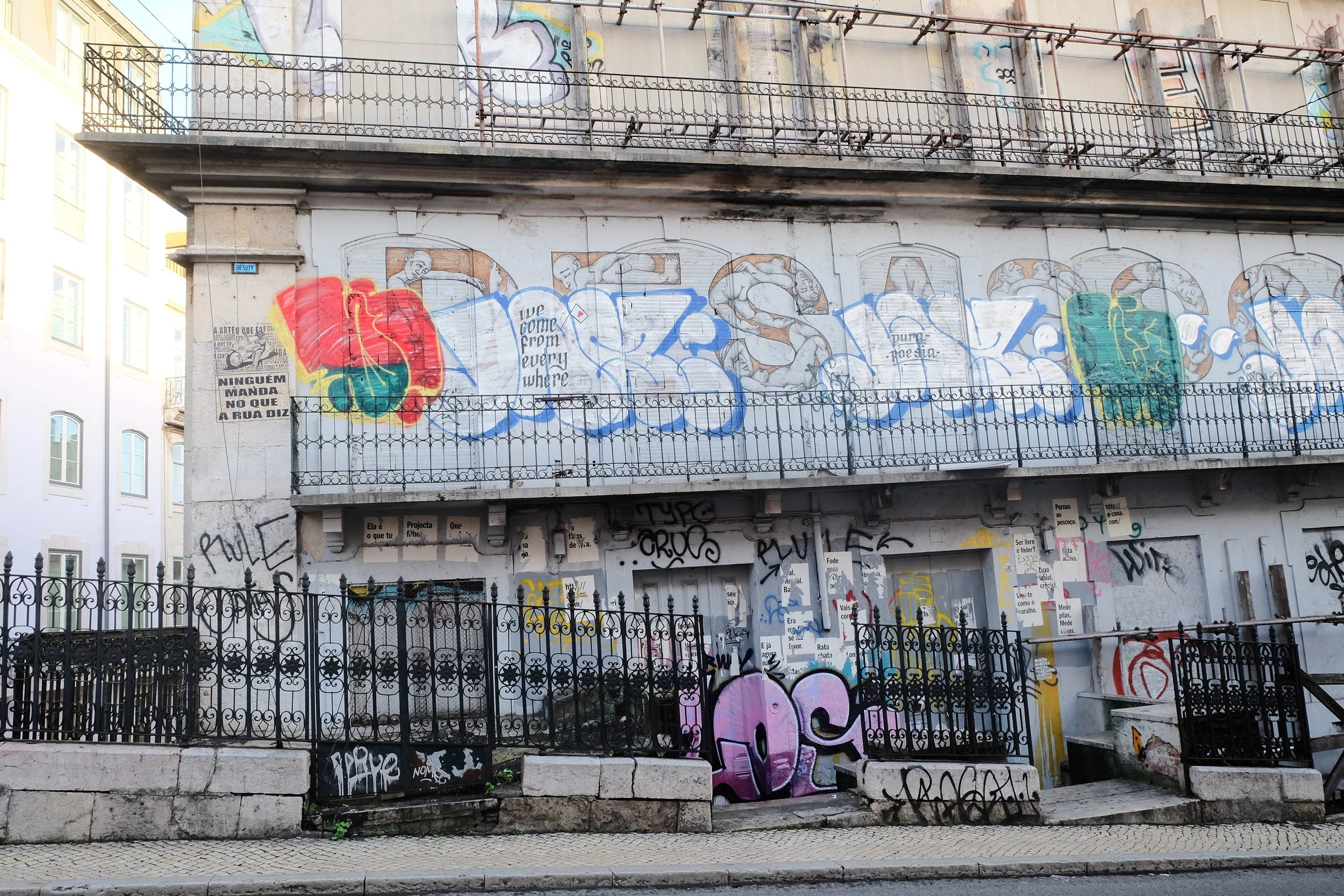 DSCF4994.jpg