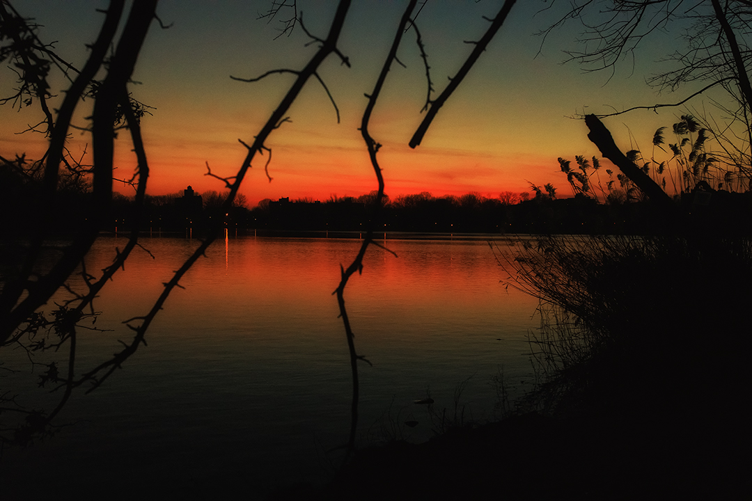 _C4A1226-Edit.jpg