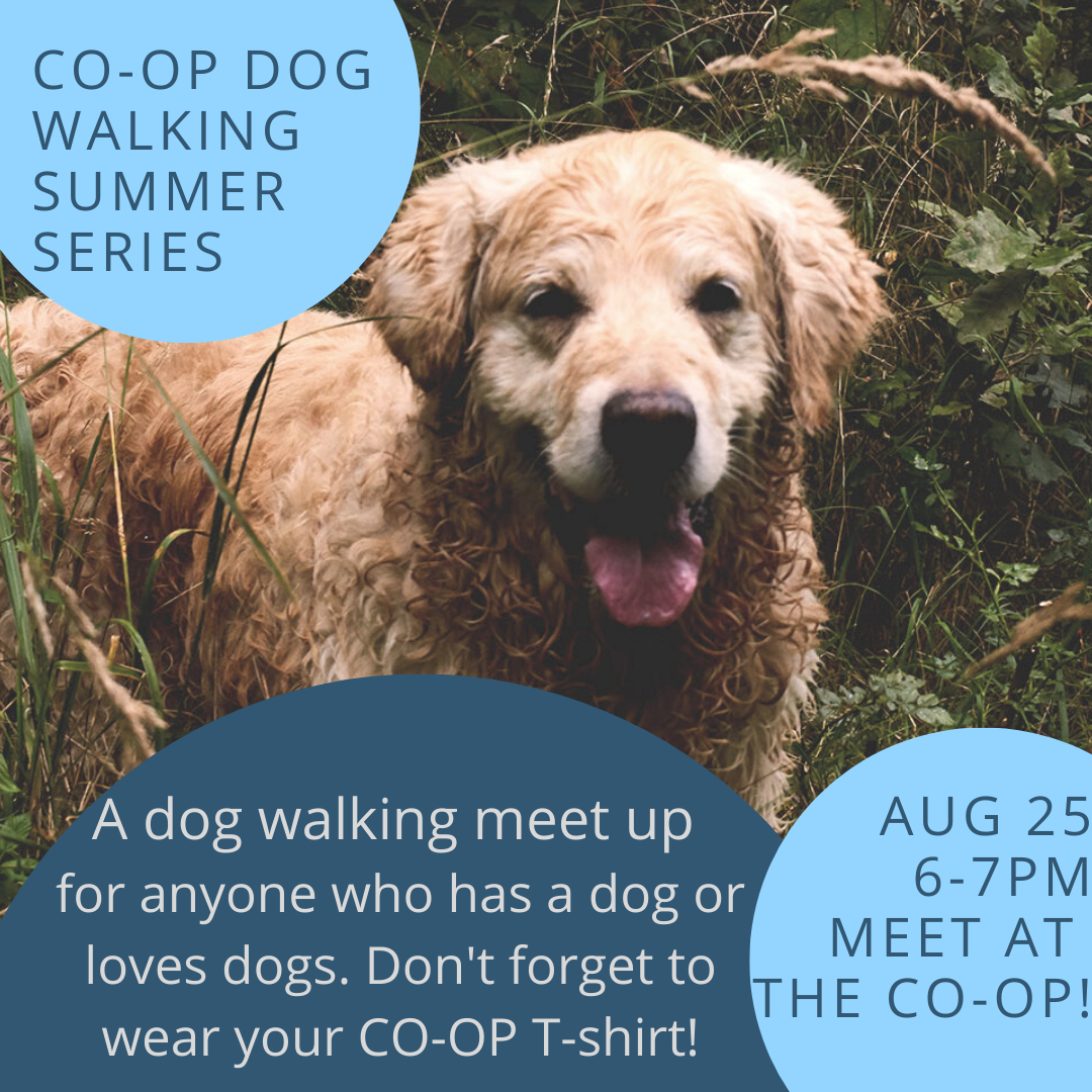 Dog Walking Summer Series, Final Meeting