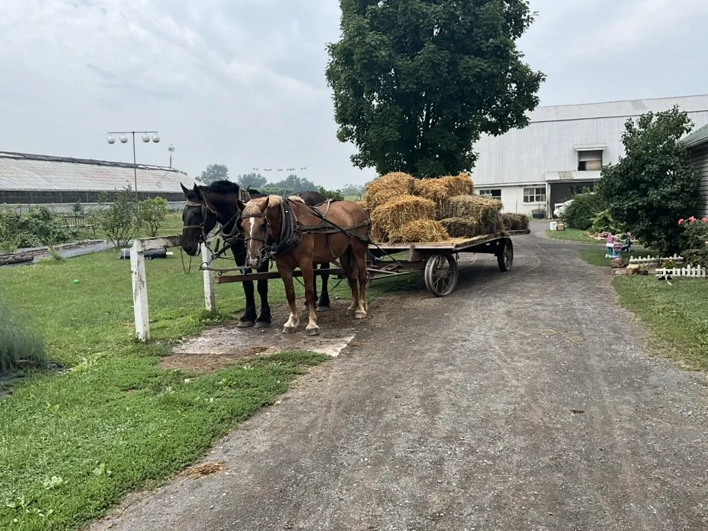 Members Visit Unique Farms Again this July