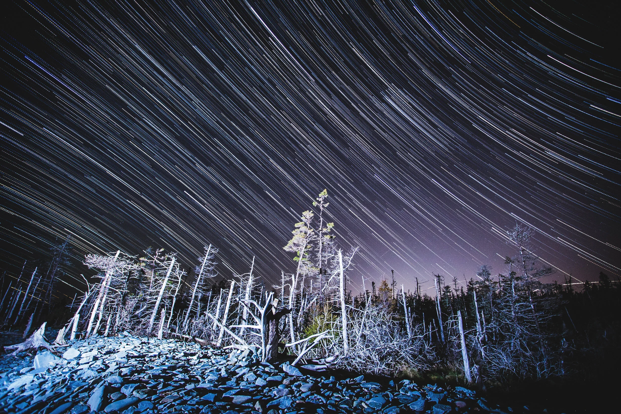 StarStaX_IMG_6725-IMG_6642_lighten.jpg