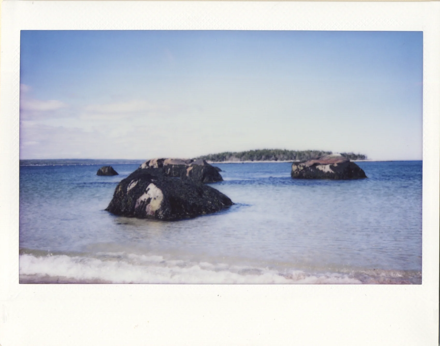scan25.jpg