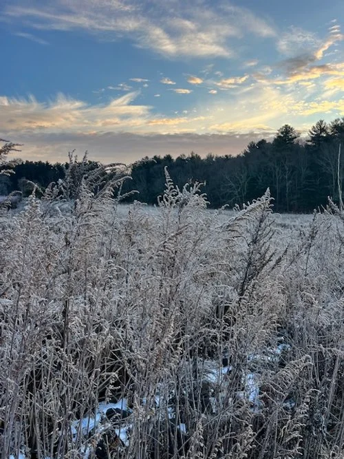 This is what I have to say to you