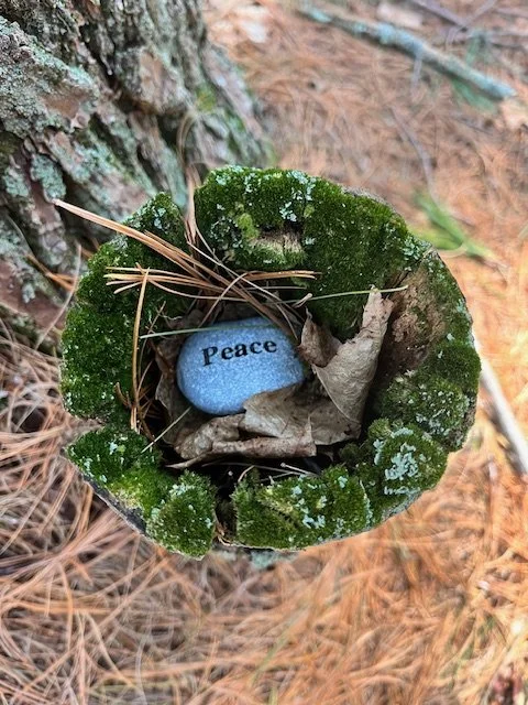 Nervous System Yogic Tune-Up