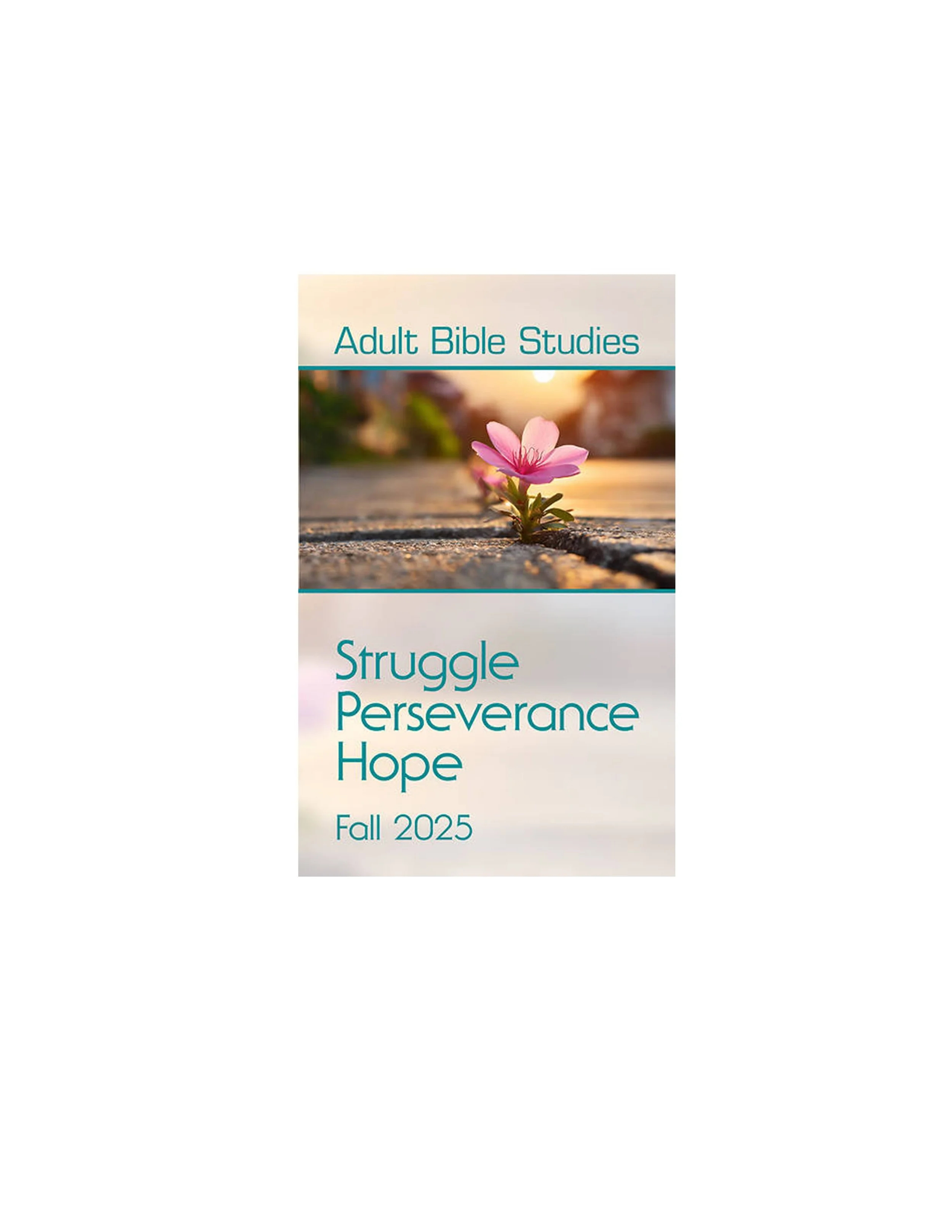 BIBLE STUDY - STRUGGLE. PERSEVERANCE. HOPE