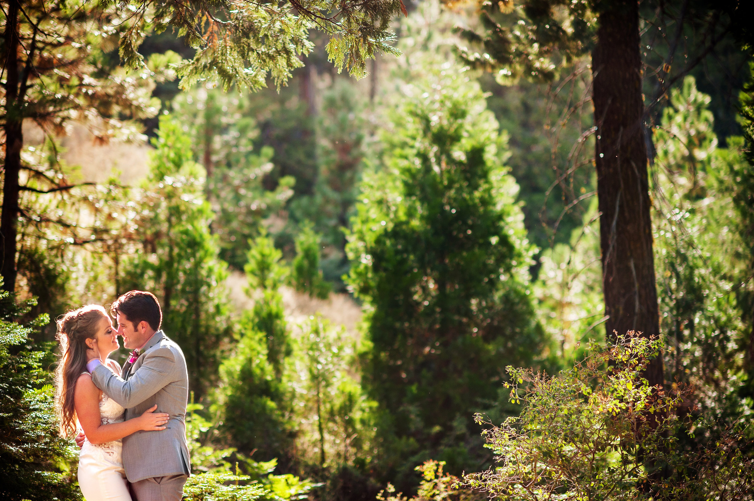  Wedding portrait at Tenaya Lodge in Yosemite California. 