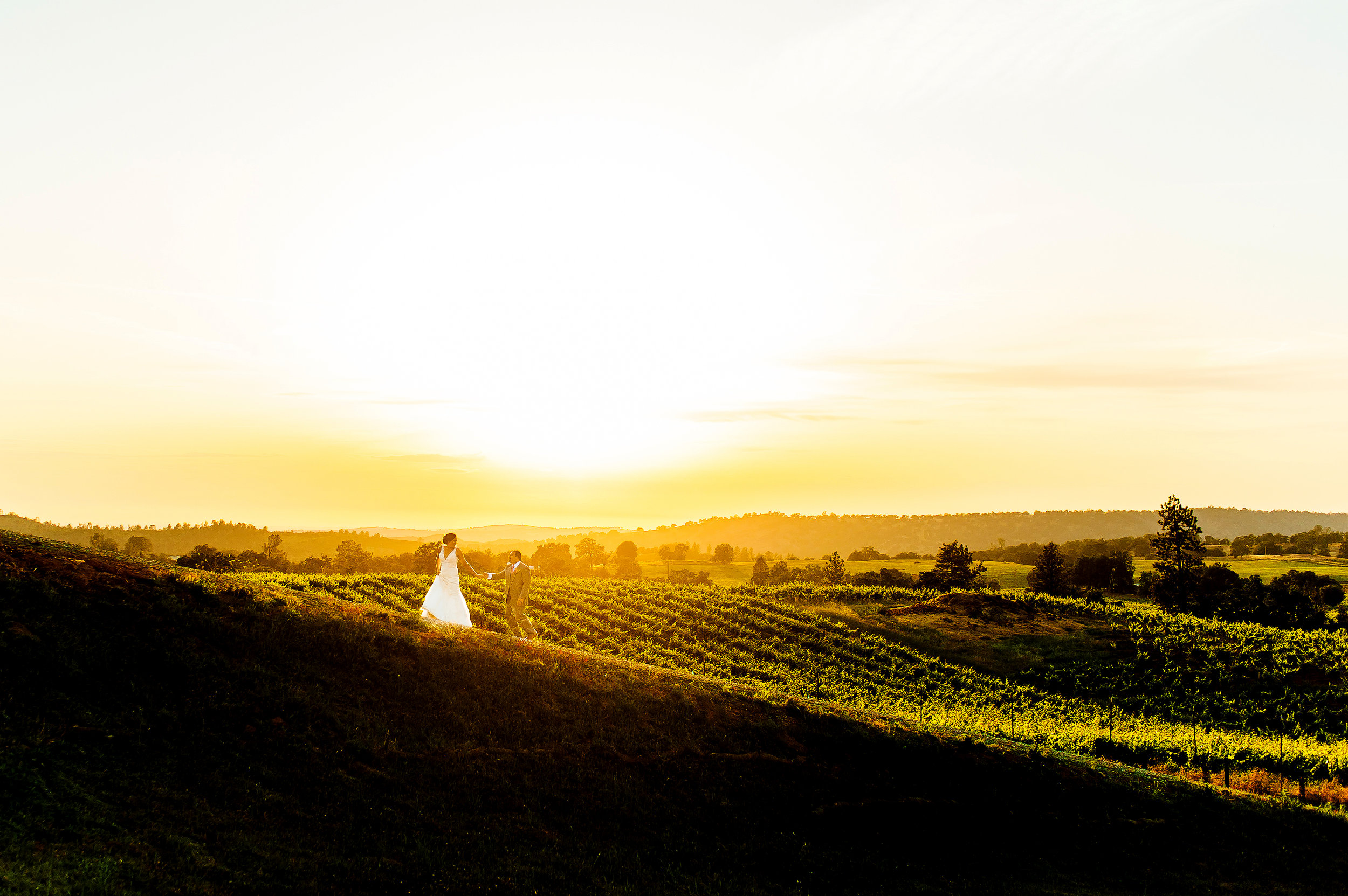  Epic sunset wedding portrait at Helwig Winery in Plymouth California. 