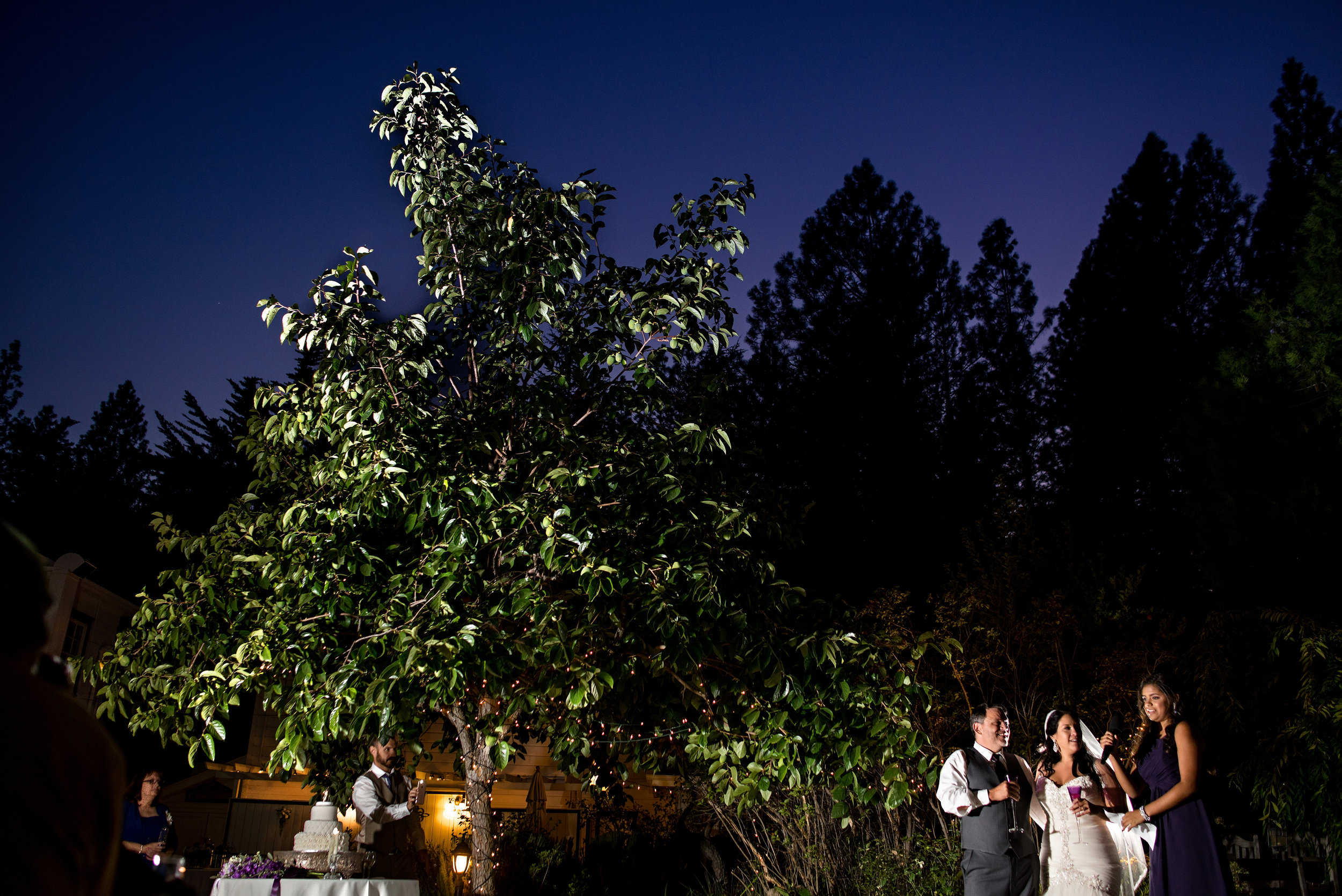  Toast during wedding at Monte Verde Inn in Foresthill California. 