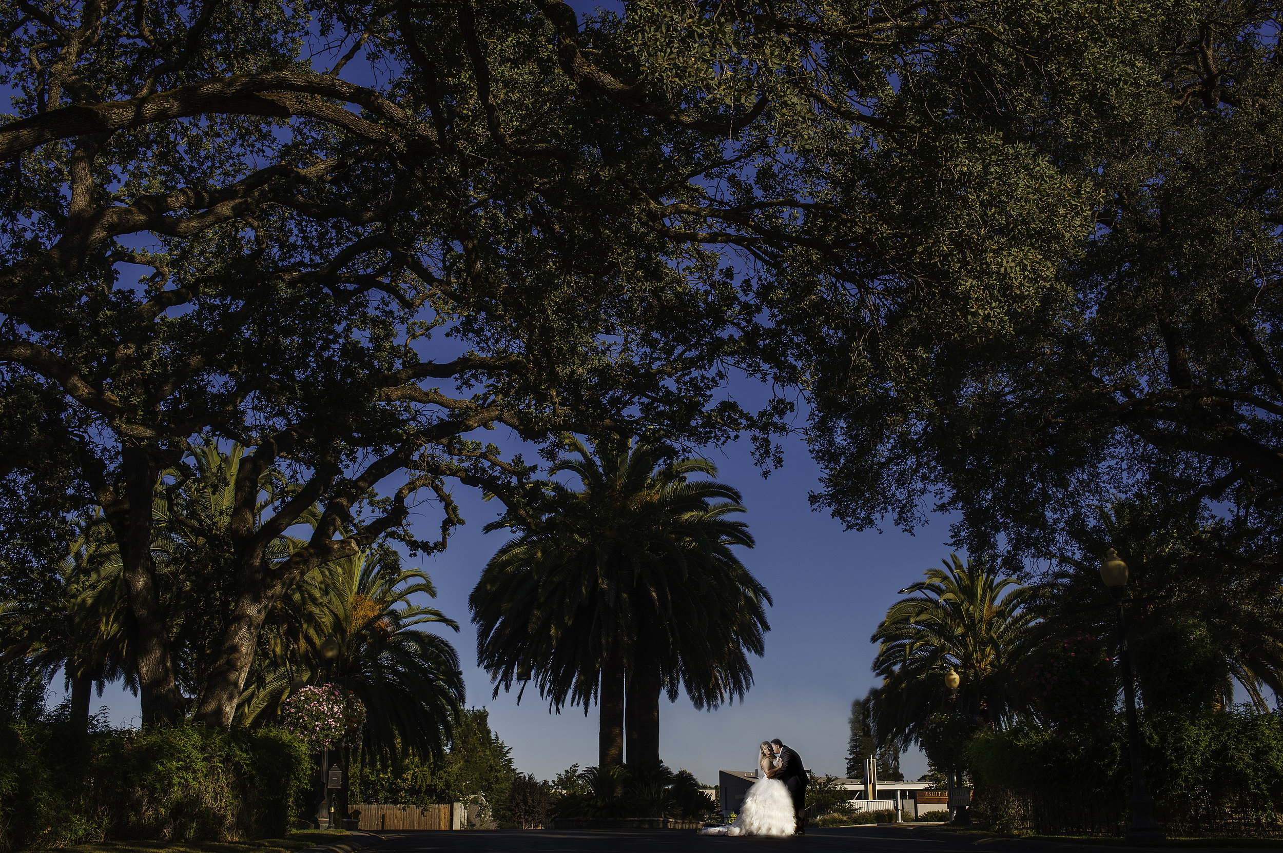  Wedding Portrait of bride and groom at Arden Hills Club and Spa in Sacramento California. 