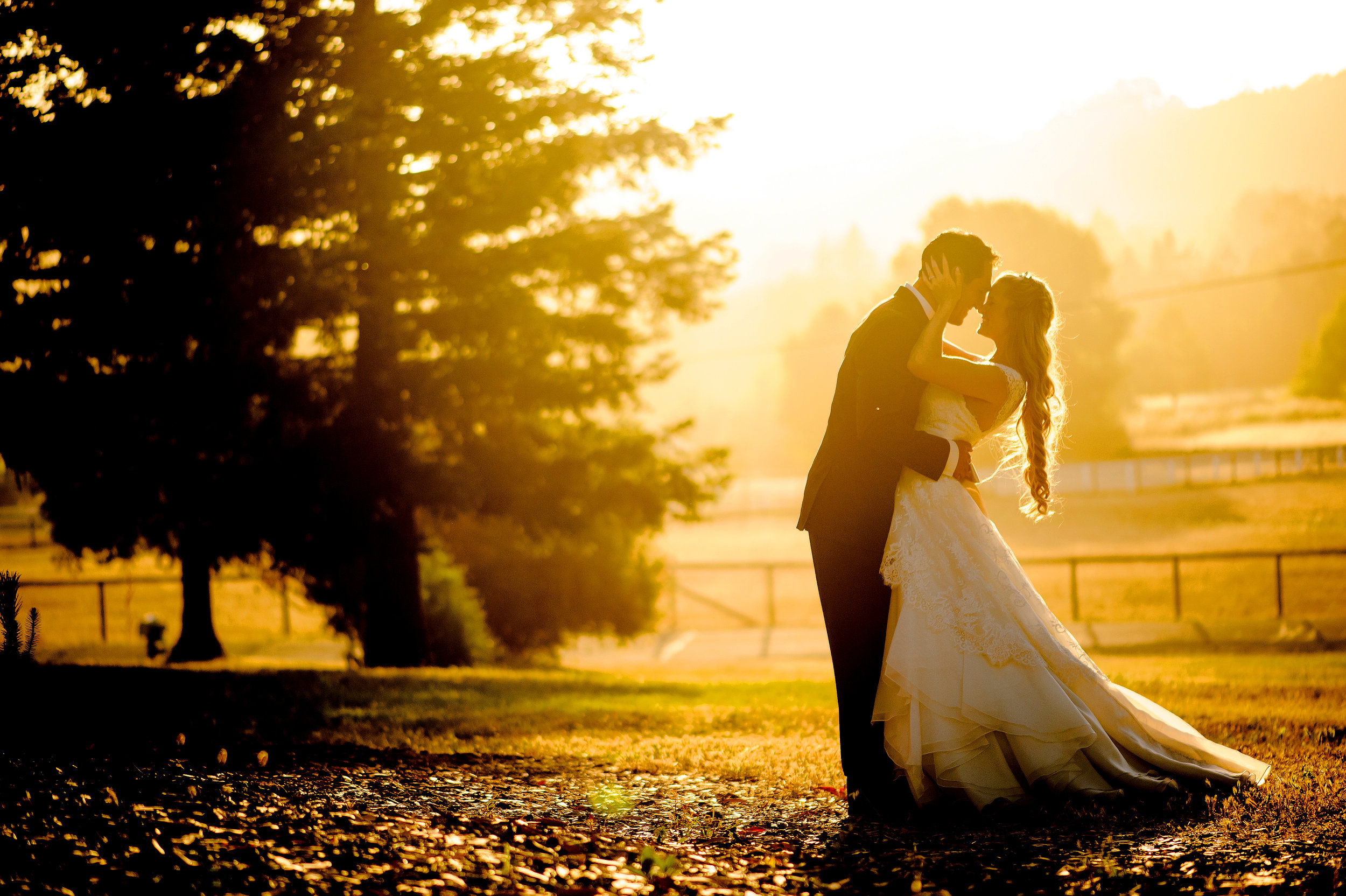 Wedding portrait during golden hour at backyard wedding in Sonoma California. 