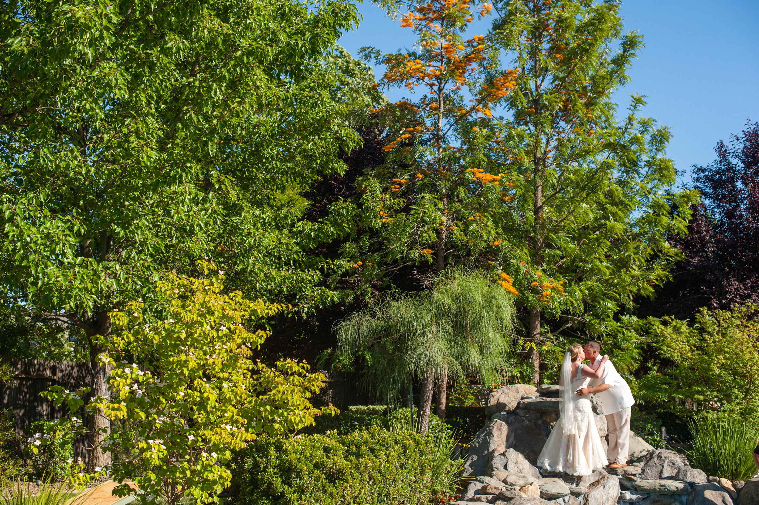 kirsten-jay-056-diy-backyard-sacramento-wedding-photographer-katherine-nicole-photography.JPG