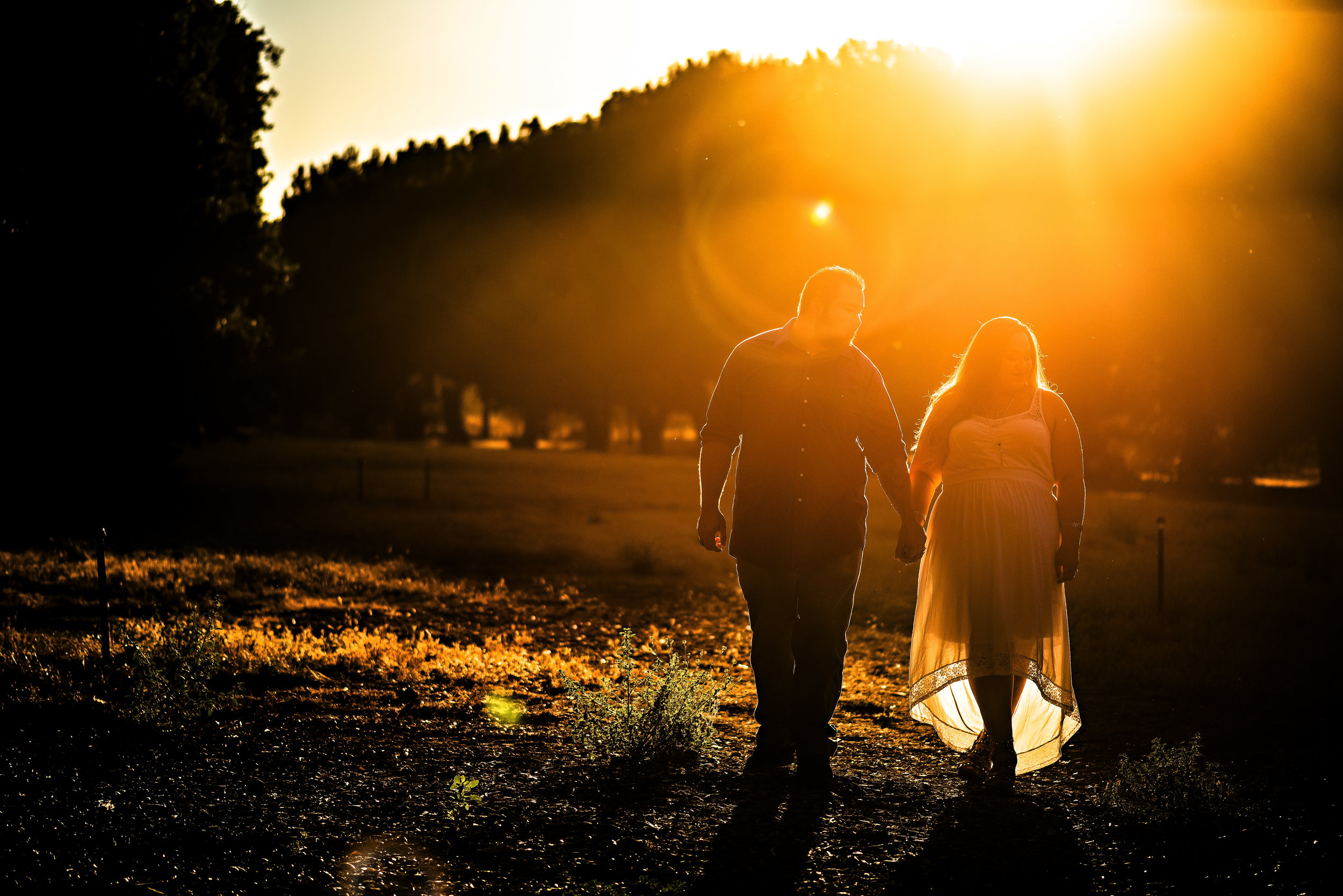 marnie-jack-013-uc-davis-arboretum-sacramento-engagement-wedding-photographer-katherine-nicole-photography.JPG