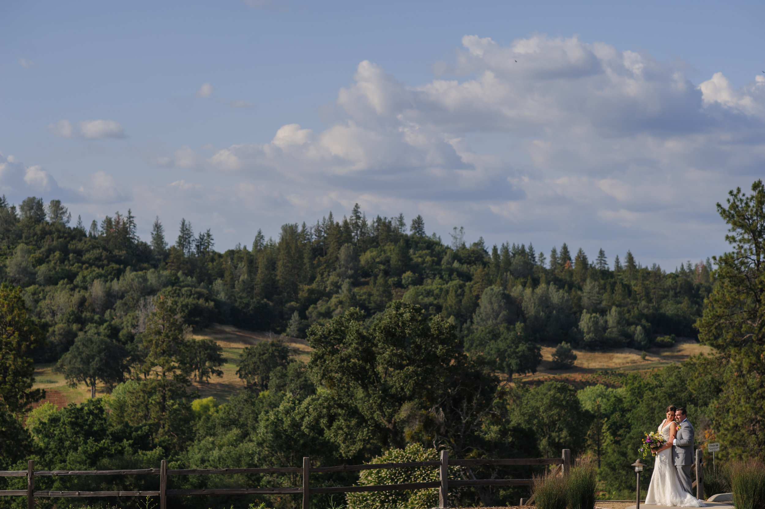 casey-sasha-021-helwig-winery-plymouth-wedding-photographer-katherine-nicole-photography.JPG