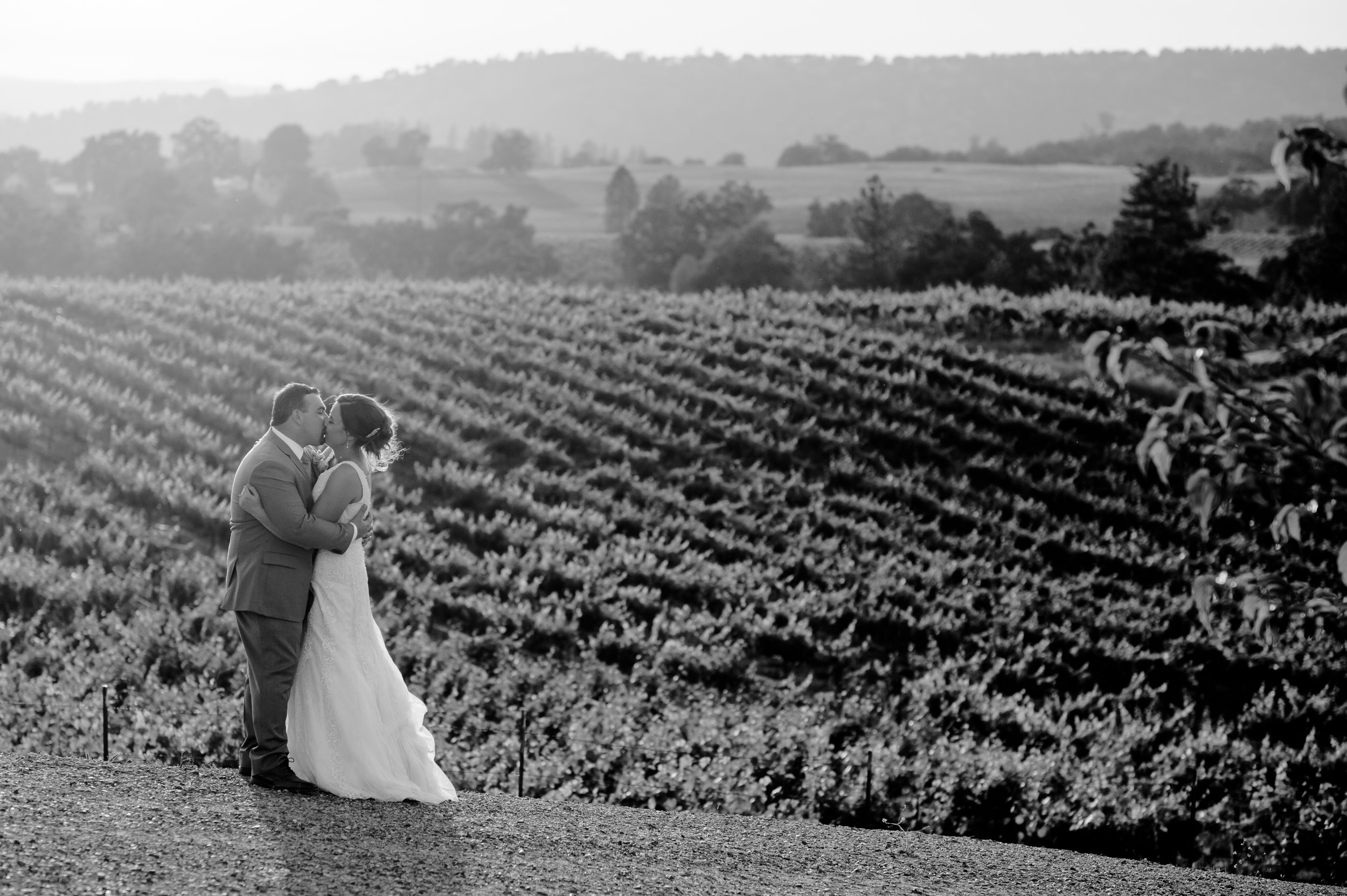 casey-sasha-027-helwig-winery-plymouth-wedding-photographer-katherine-nicole-photography.JPG