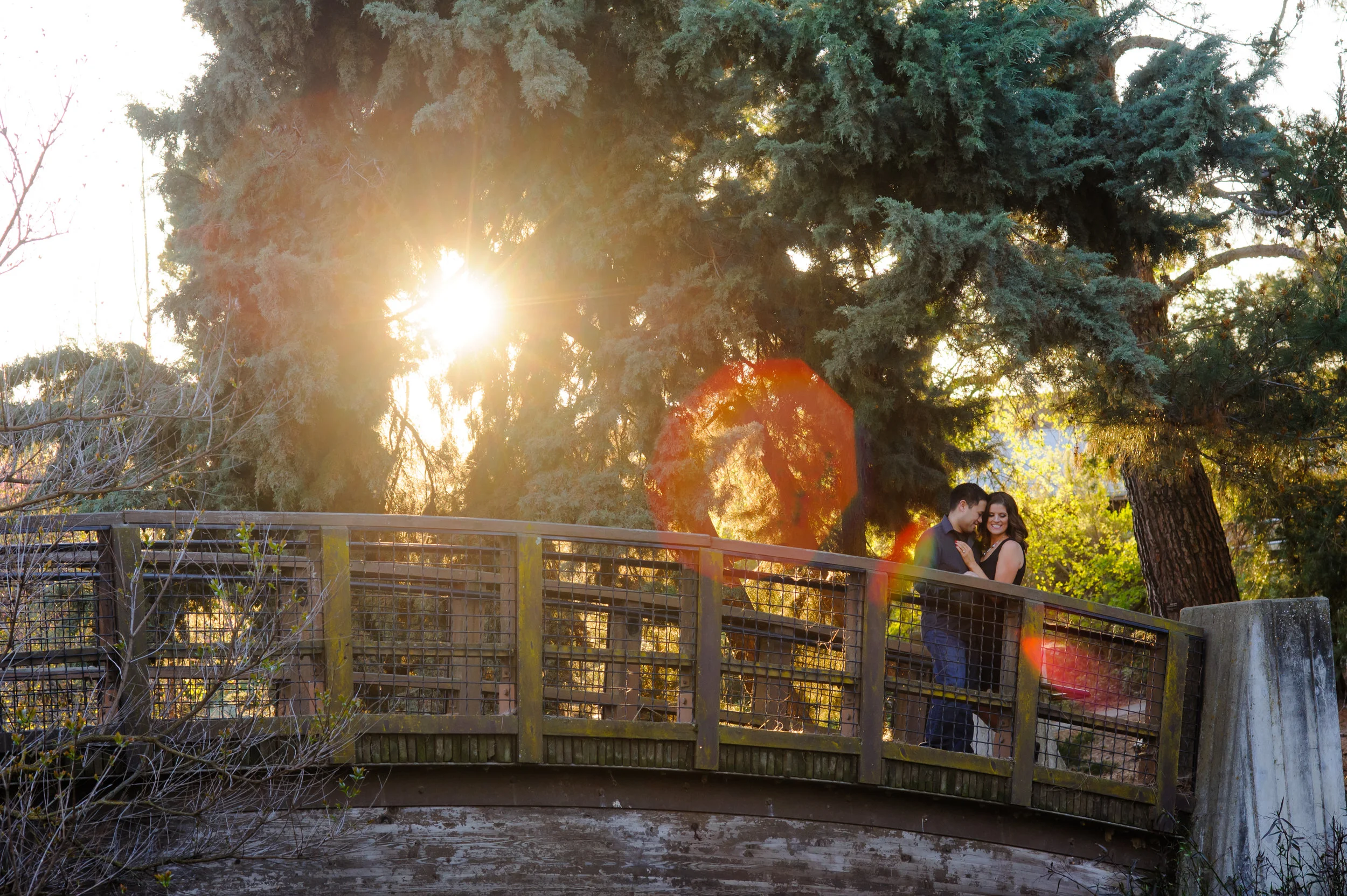susan-brad-003-uc-davis-engagement-wedding-photographer-katherine-nicole-photography.JPG