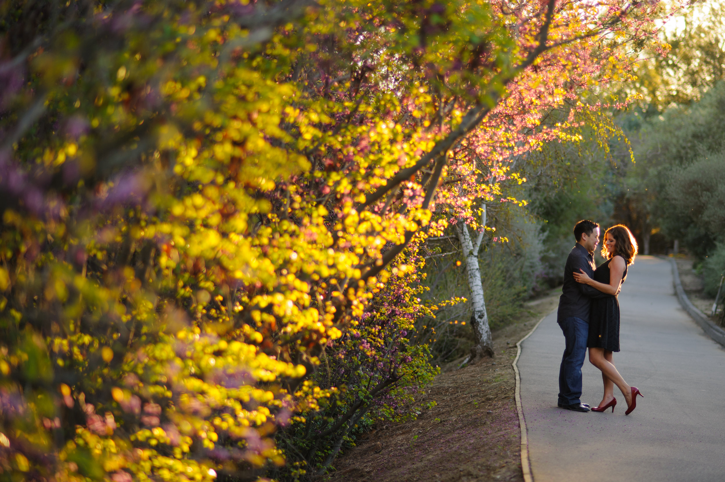 susan-brad-004-uc-davis-engagement-wedding-photographer-katherine-nicole-photography.JPG