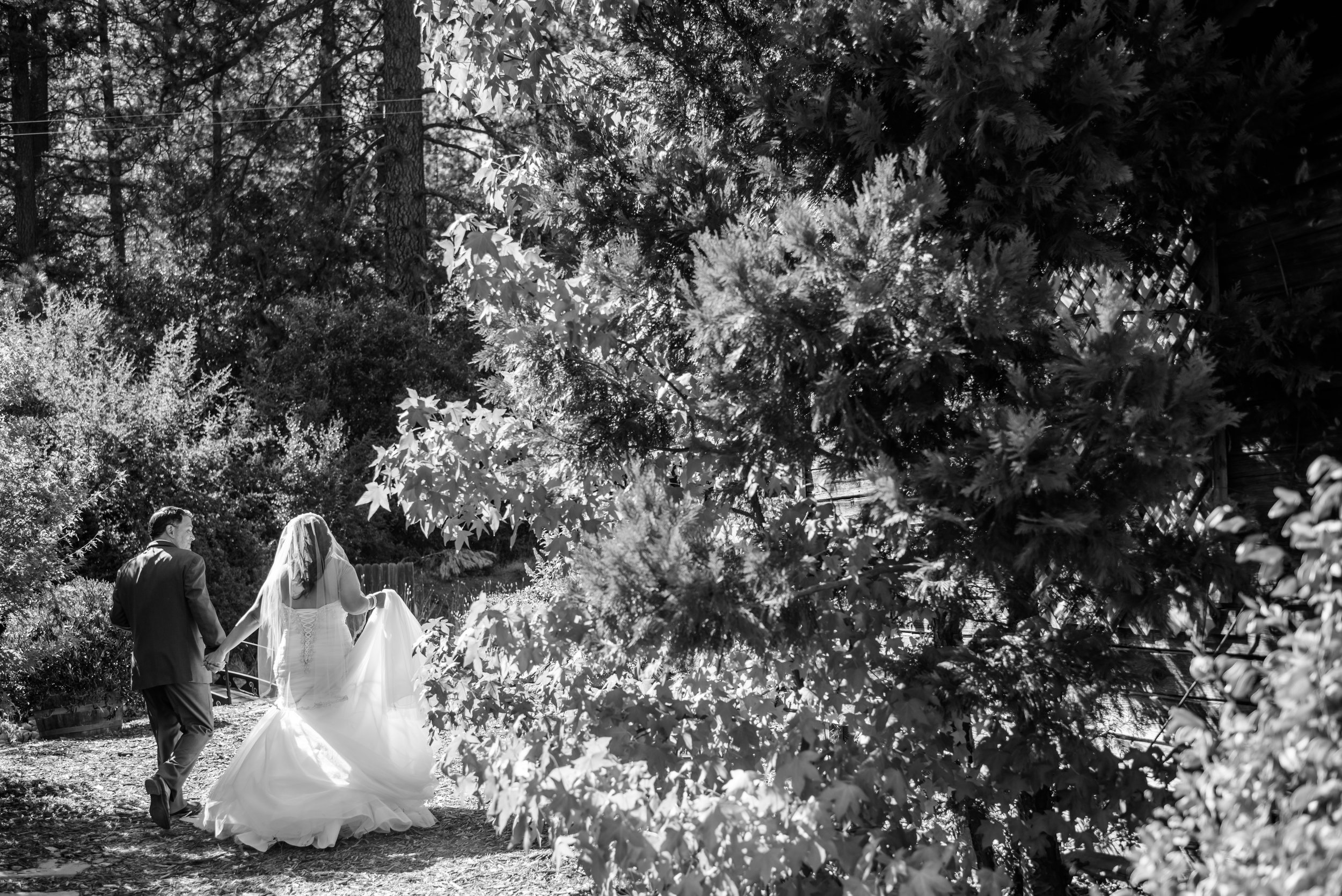 erika-seth-012-monte-verde-inn-sacramento-wedding-photographer-katherine-nicole-photography.JPG