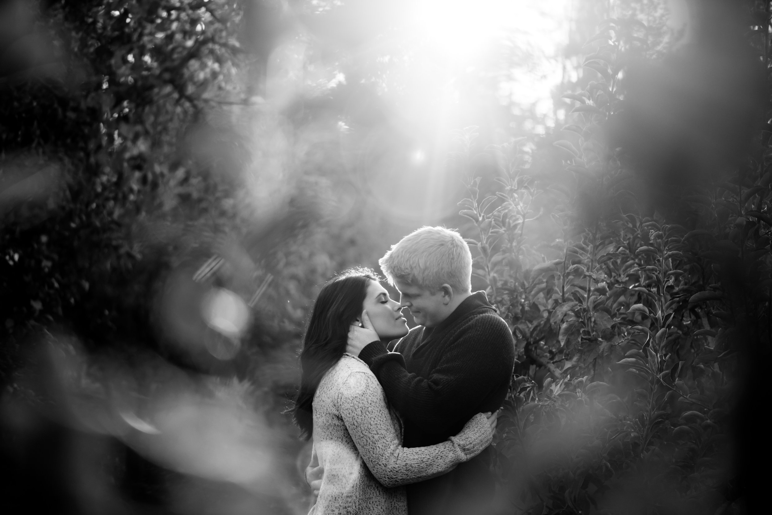 samantha-joel-015-apple-hill-engagement-photos-wedding-photographer-katherine-nicole-photography.JPG