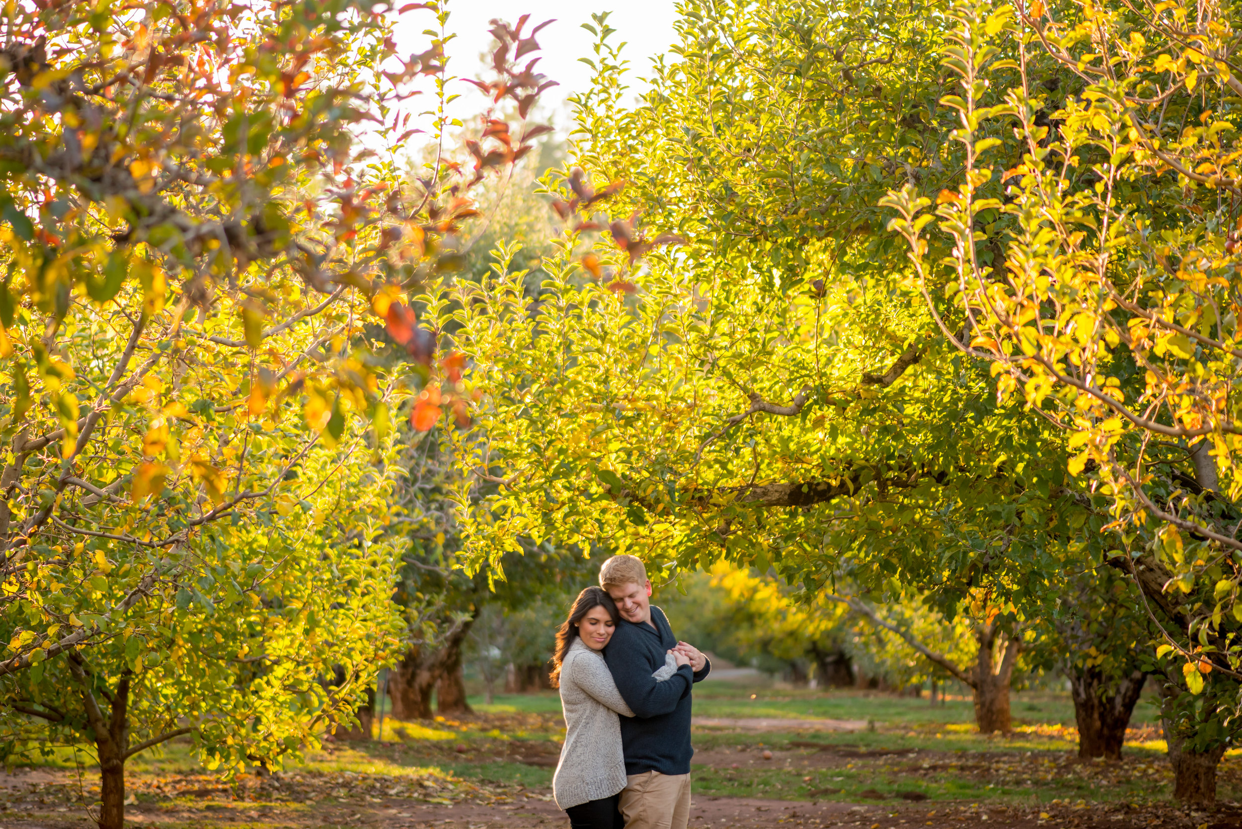 samantha-joel-014-apple-hill-engagement-photos-wedding-photographer-katherine-nicole-photography.JPG