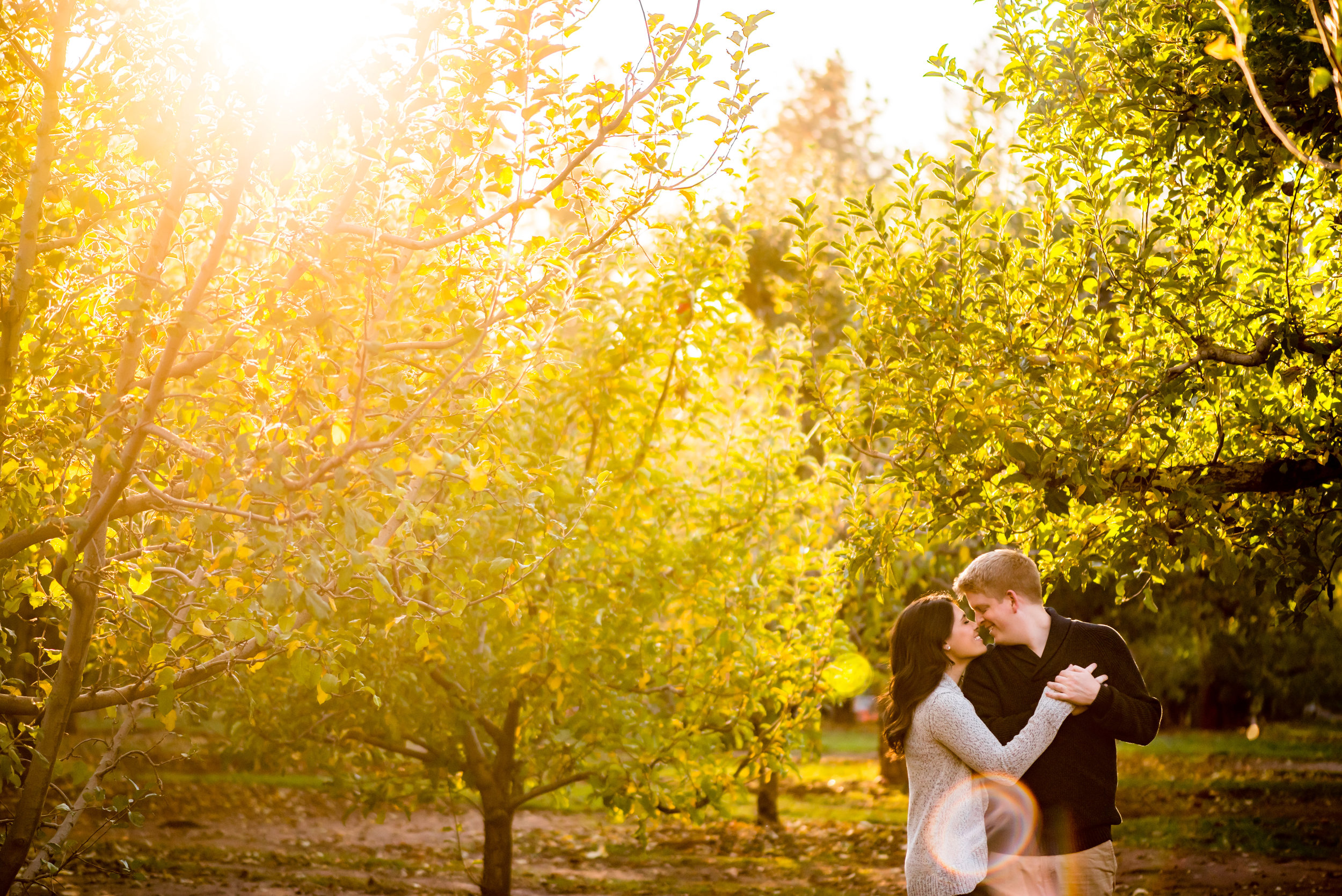 samantha-joel-011-apple-hill-engagement-photos-wedding-photographer-katherine-nicole-photography.JPG