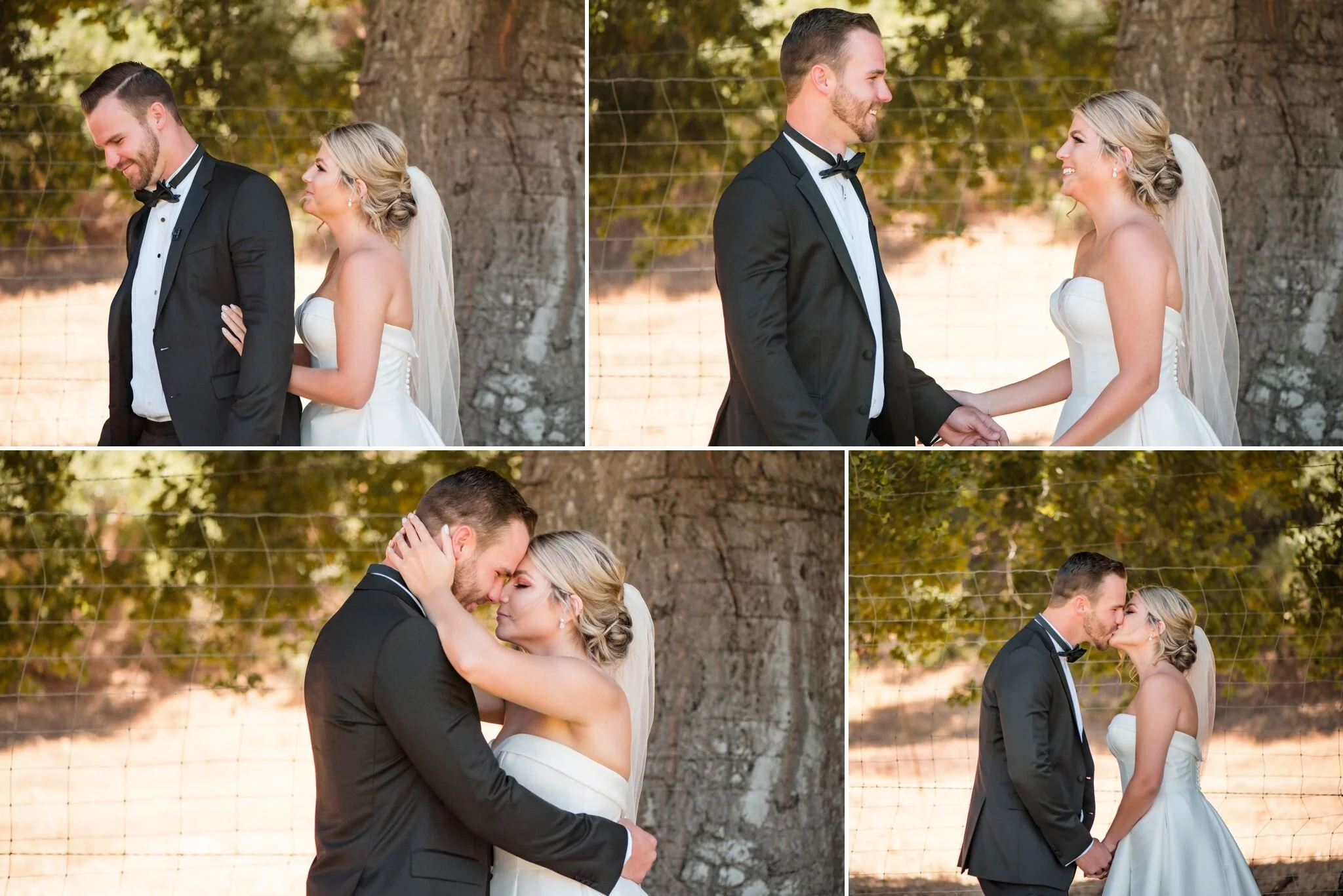 joullian-vineyard-wedding-katherine-nicole-photgraphy-1.jpg