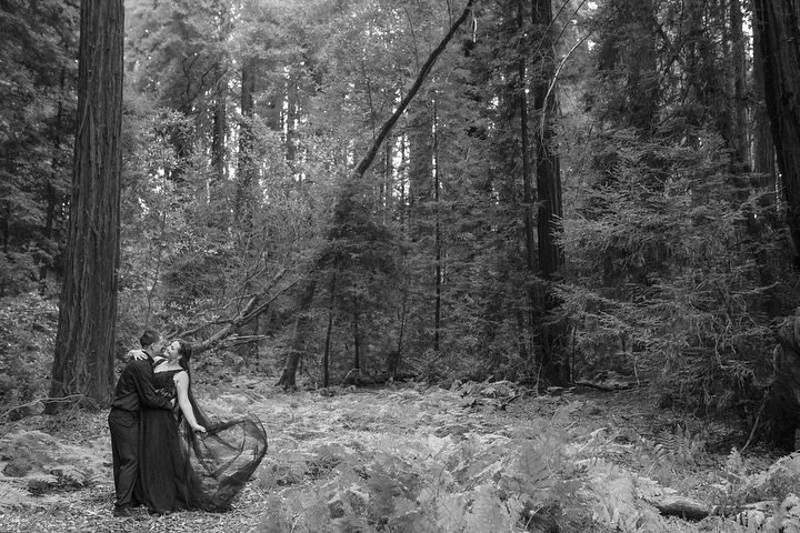 Time to head back to the redwoods so these two can become husband and wife 🥰