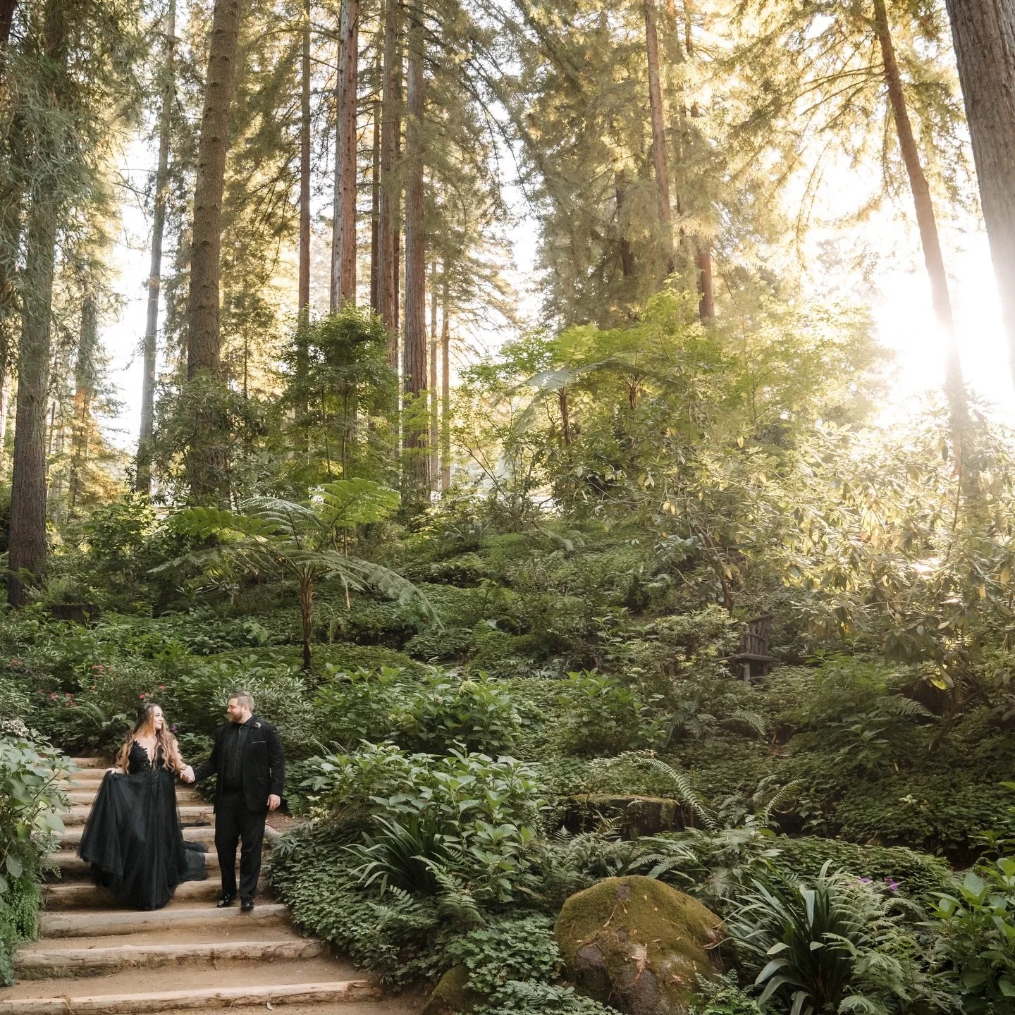 @nestldownevents is pure magic ✨I will never get enough of the gorgeous nature setting combined with the absolutely stunning event space. One of my all time faves 🤩