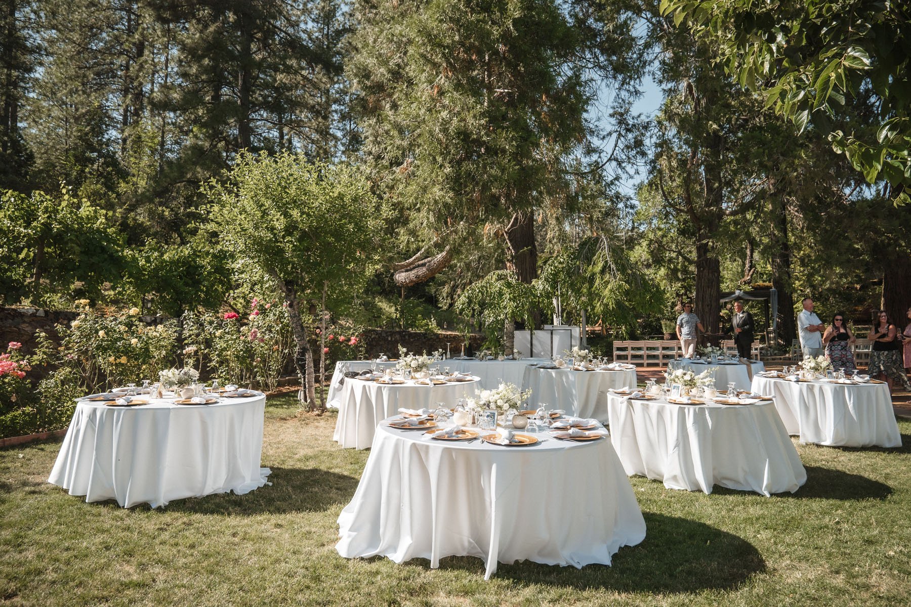monte-verde-inn-wedding-reception.JPG