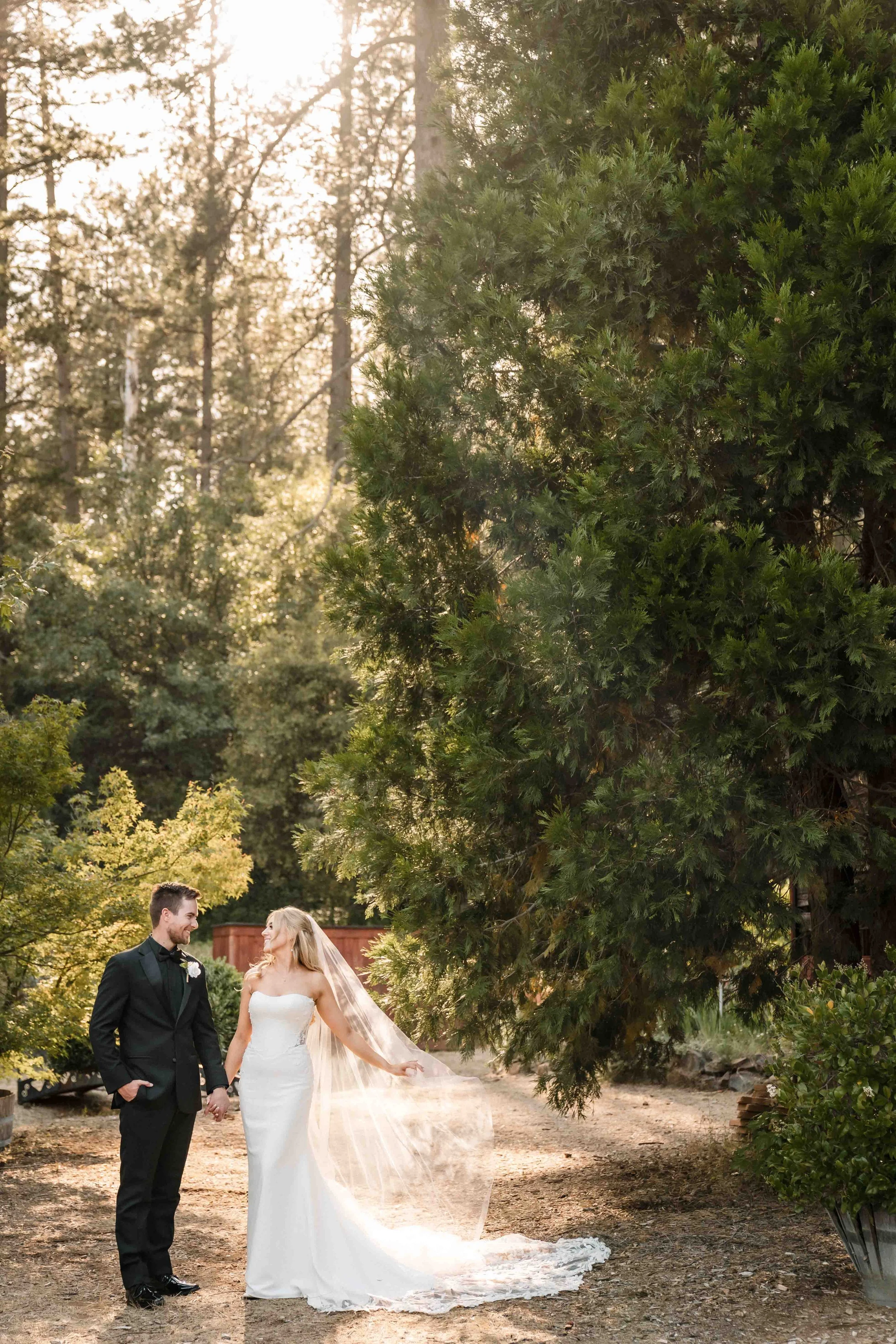 monte-verde-inn-wedding-golden-light.JPG