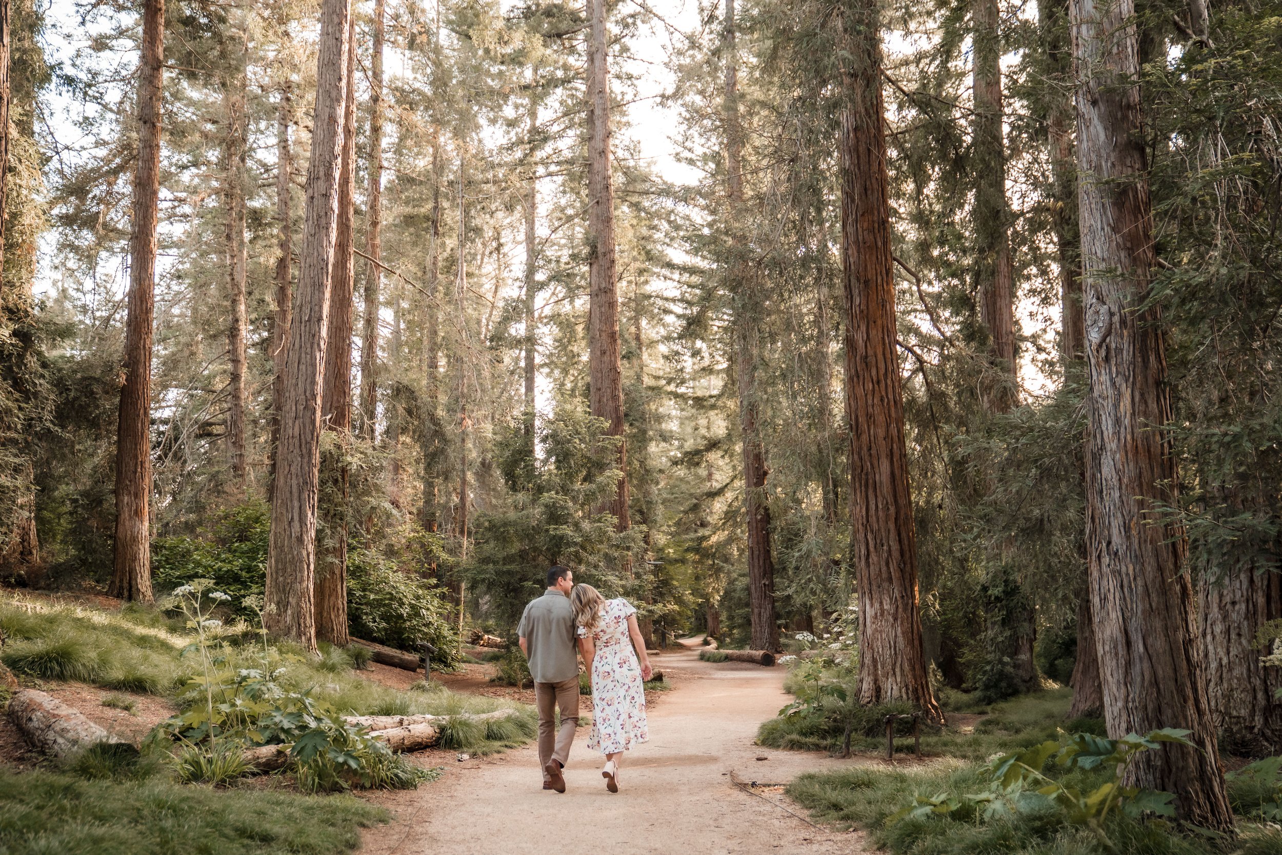 A couple walking on a dirt path through the UC Davis Arboretum redwood grove during their engagement session. Photography by Katherine Nicole Photography.