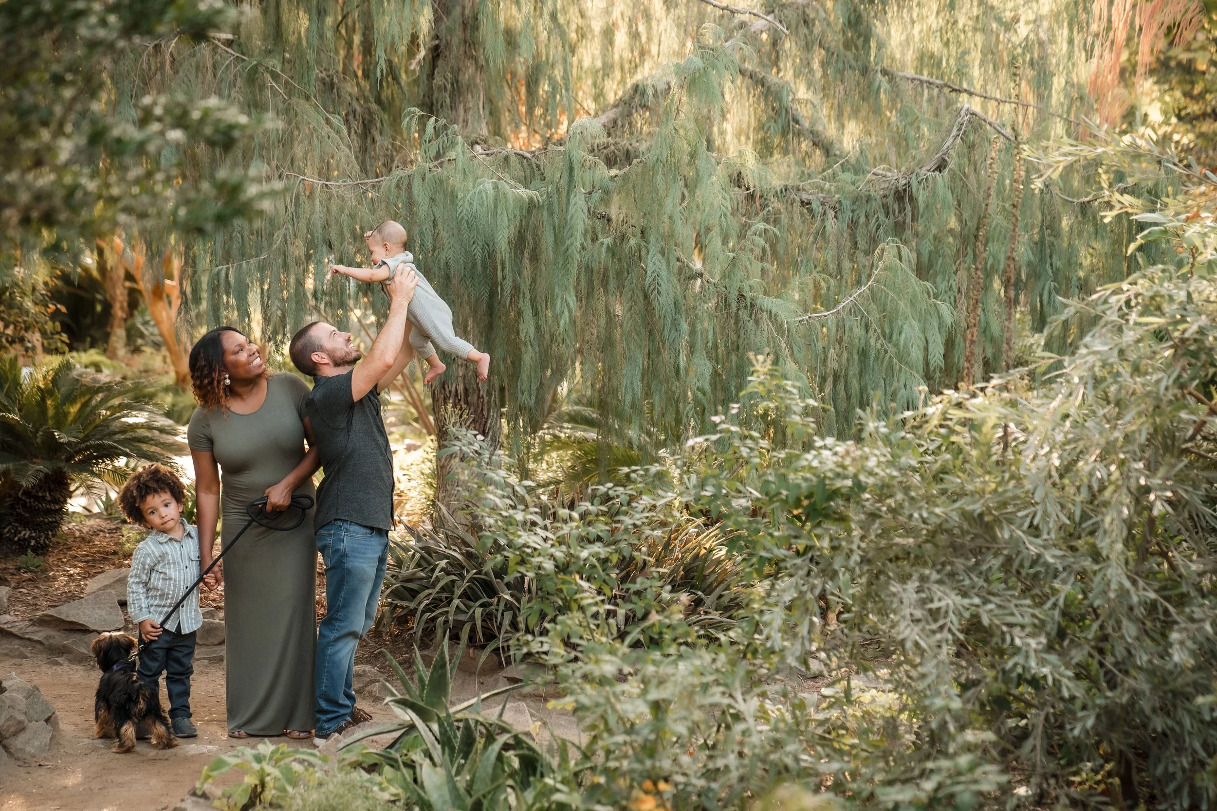 A family enjoying a walk in a forest, with an adult lifting a baby into the air while two young children and a dog stand nearby.