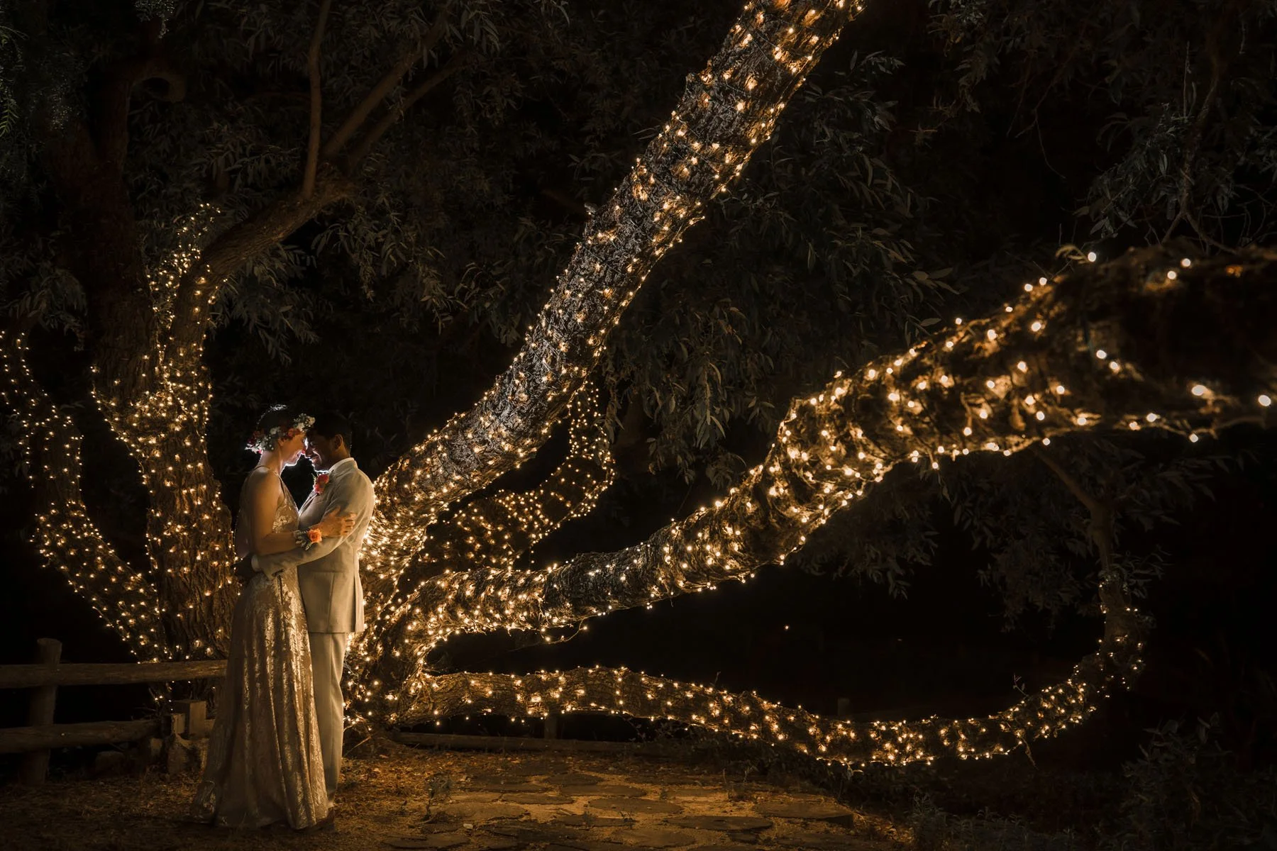 A bride and groom in wedding attire standing close and holding each other under a large tree decorated with numerous string lights at night during their wedding at Nella Terra Cellars. Photography by Katherine Nicole Photography. 