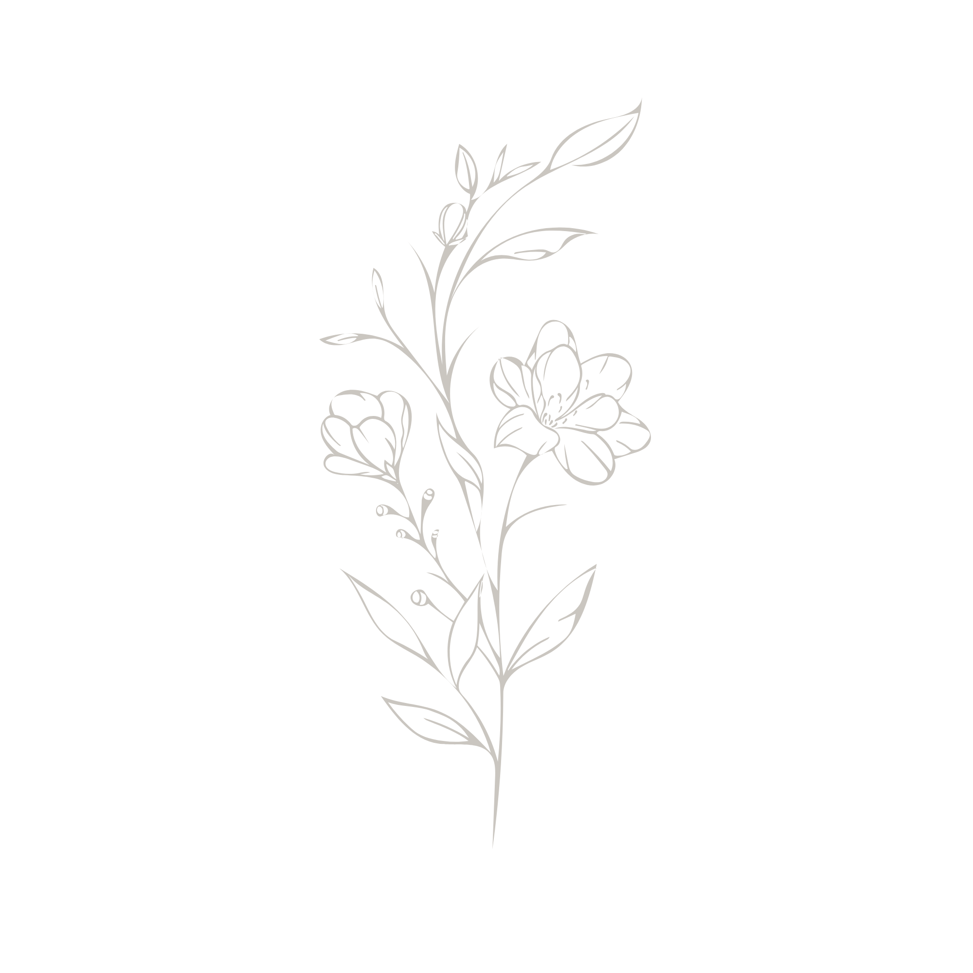 Line drawing of a flower with branches and leaves on a light background.