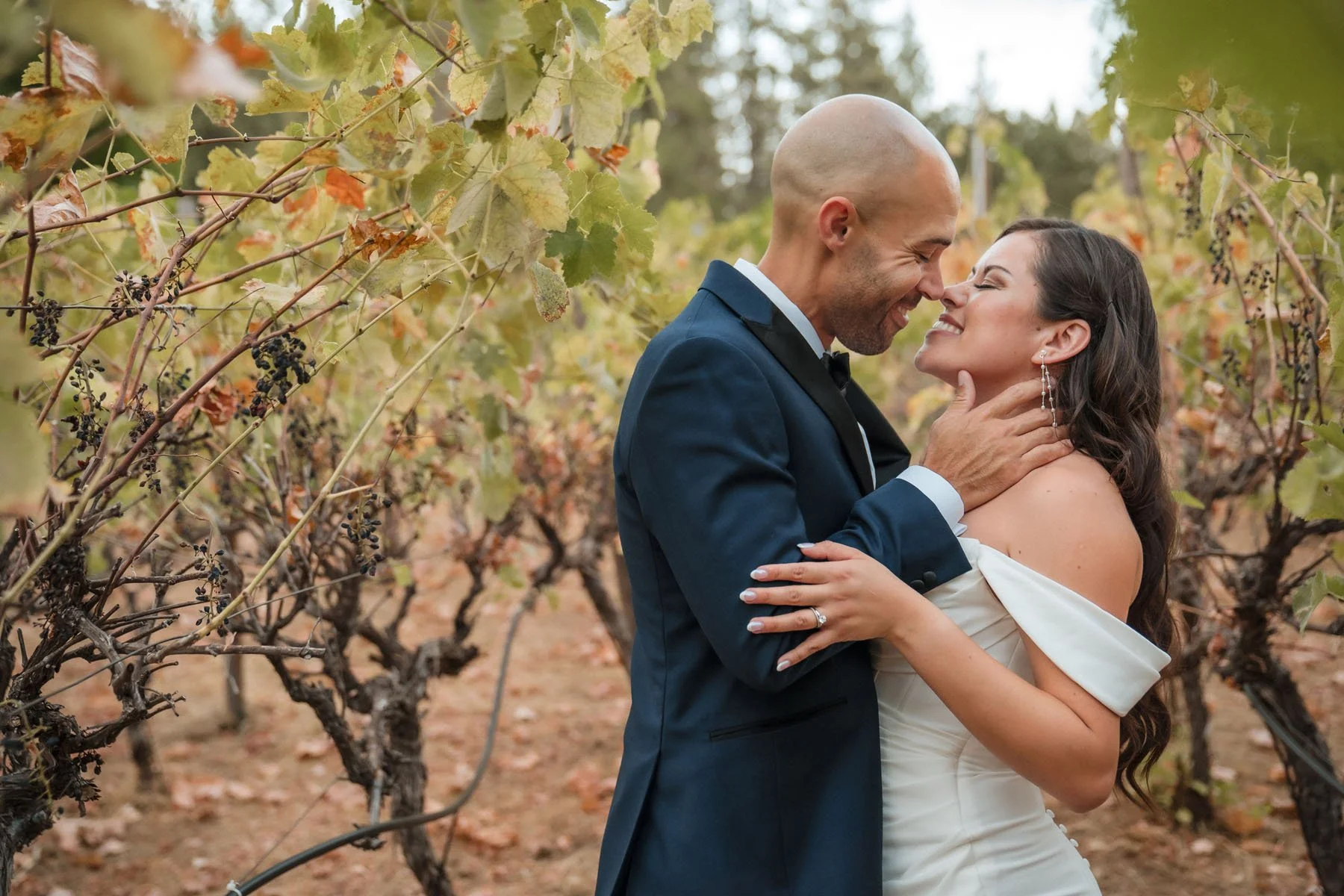 A bride and groom snuggle close in the vineyard at their Monte Verde Inn wedding