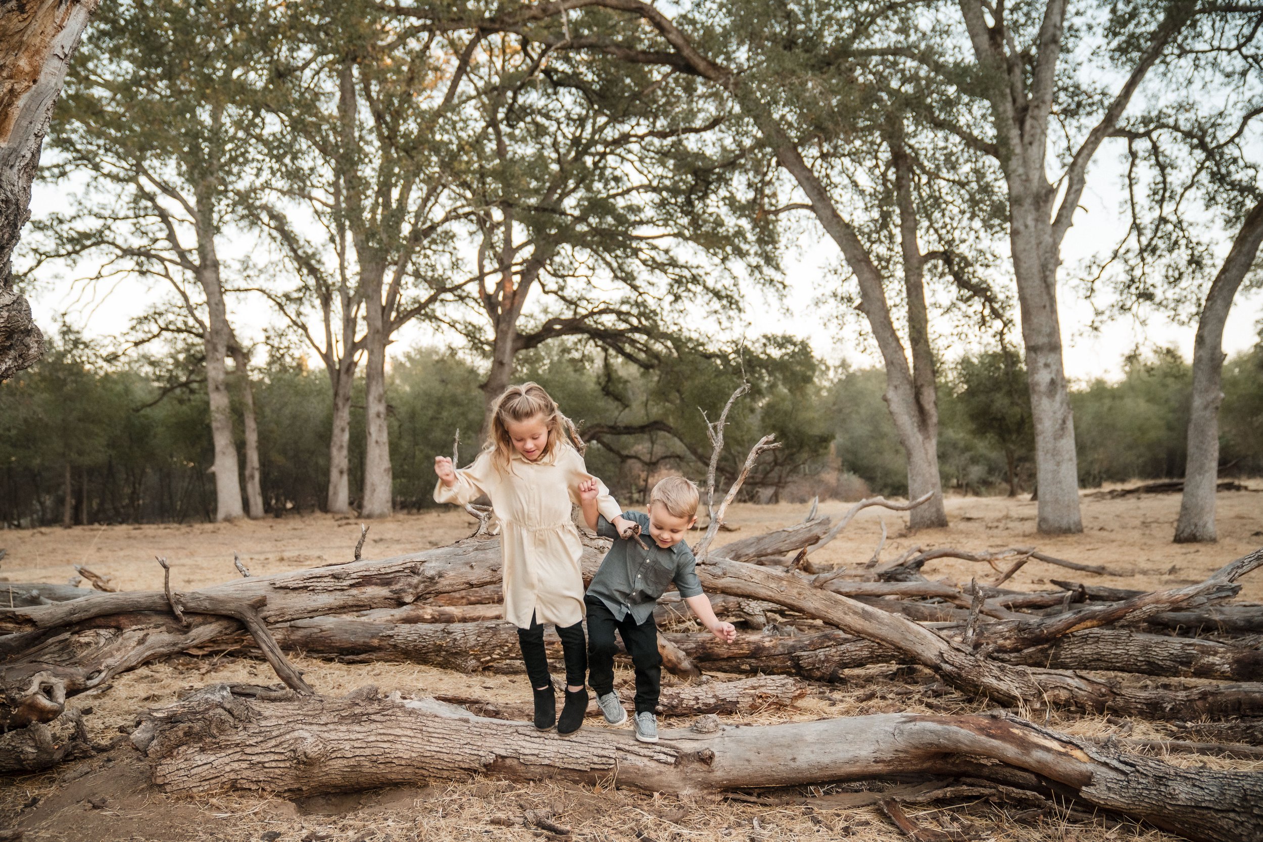 Two young children, a girl and a boy, playing and walking on a fallen tree log in a forest setting with tall trees and dry ground, during their photo session with Sacramento family photographer, Katherine Nicole Photography.