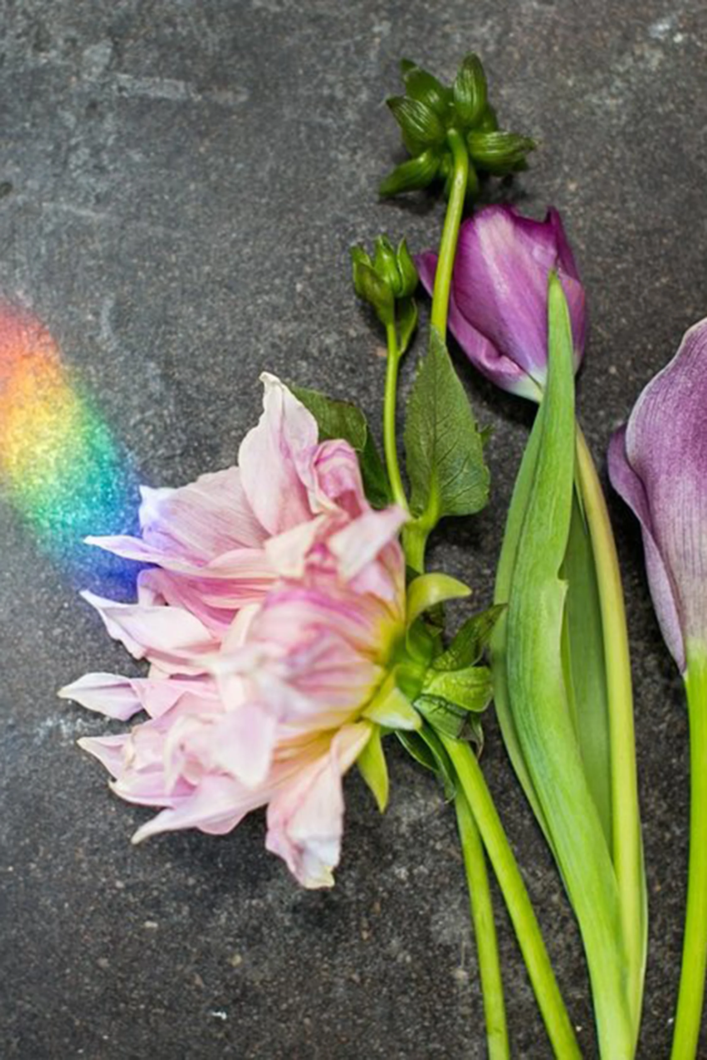 A Lament for Mother's Day