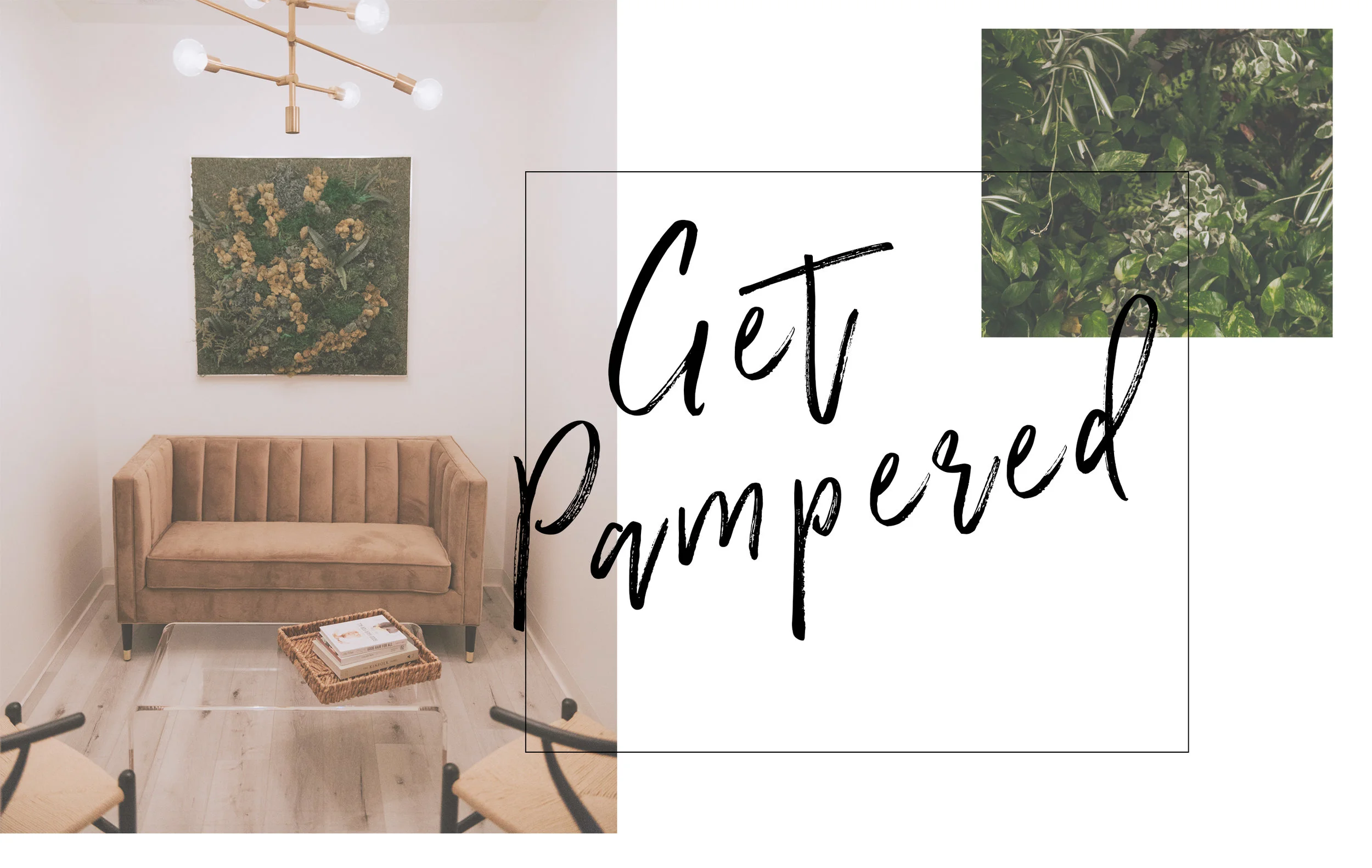 GetPamperedHeader.jpg