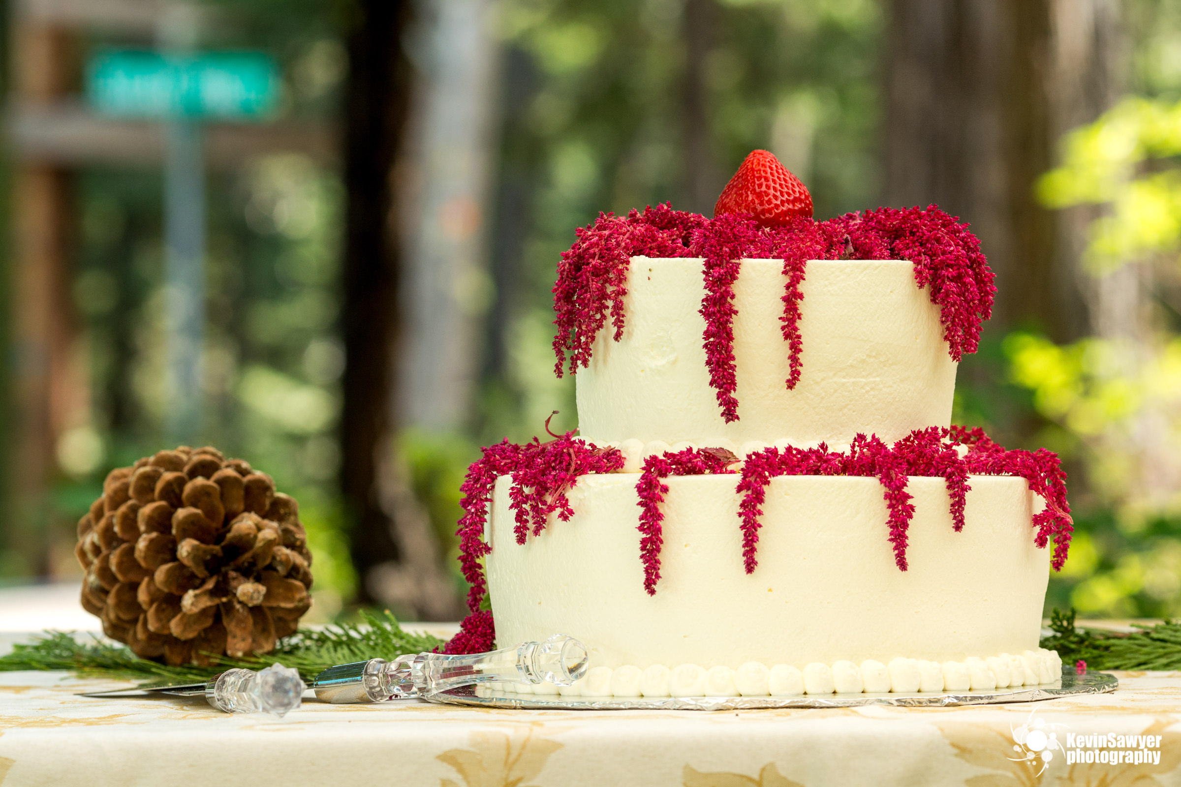 lake tahoe wedding photographer tahoe city 