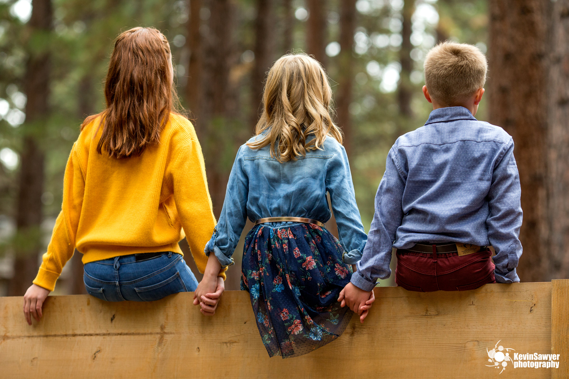 lake-tahoe-truckee-donner-fall-family-photographer