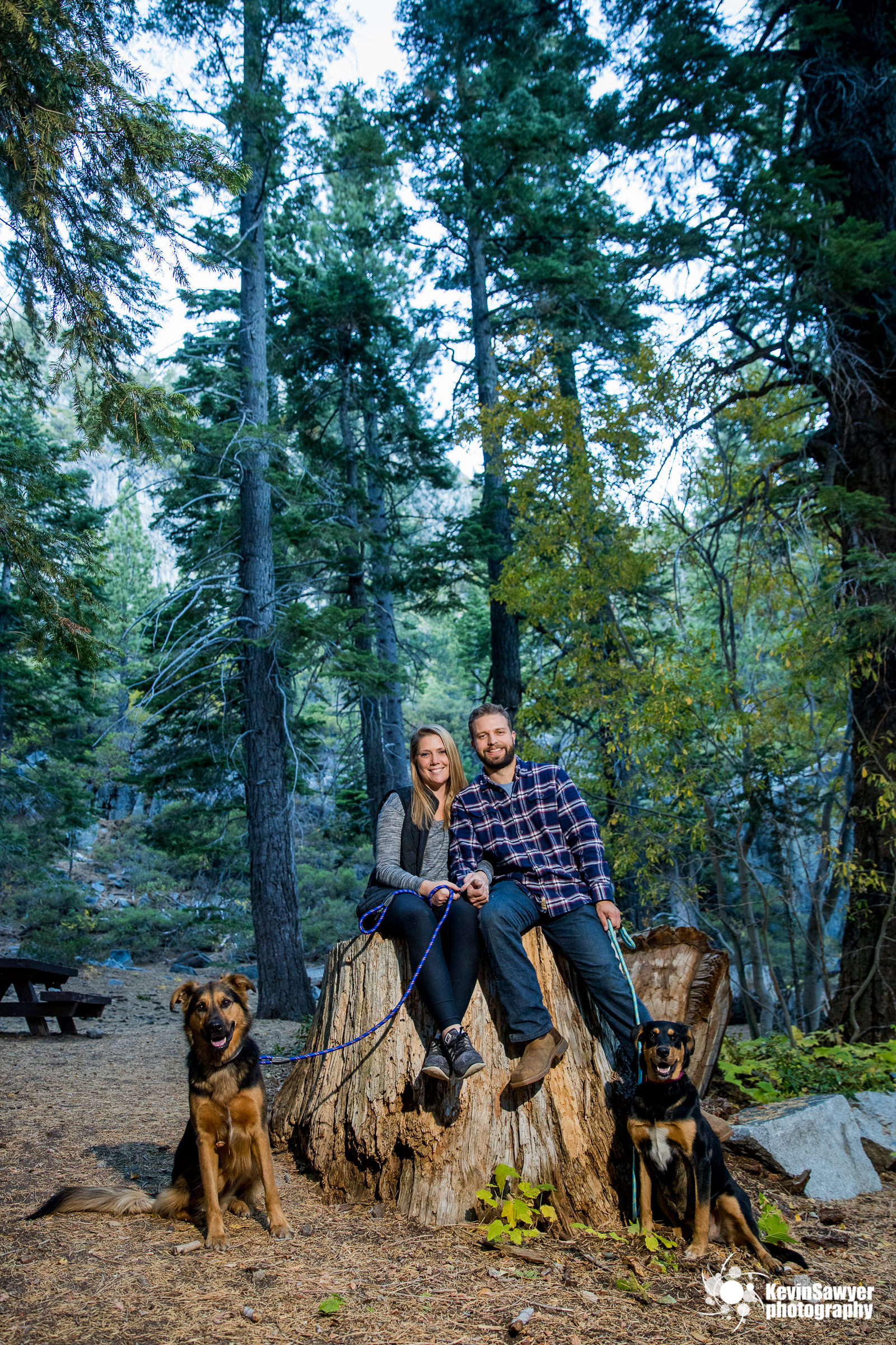 lake-tahoe-wedding-photographer-proposal-engagement-emerald-bay-portraits-love-southlake-tahoe