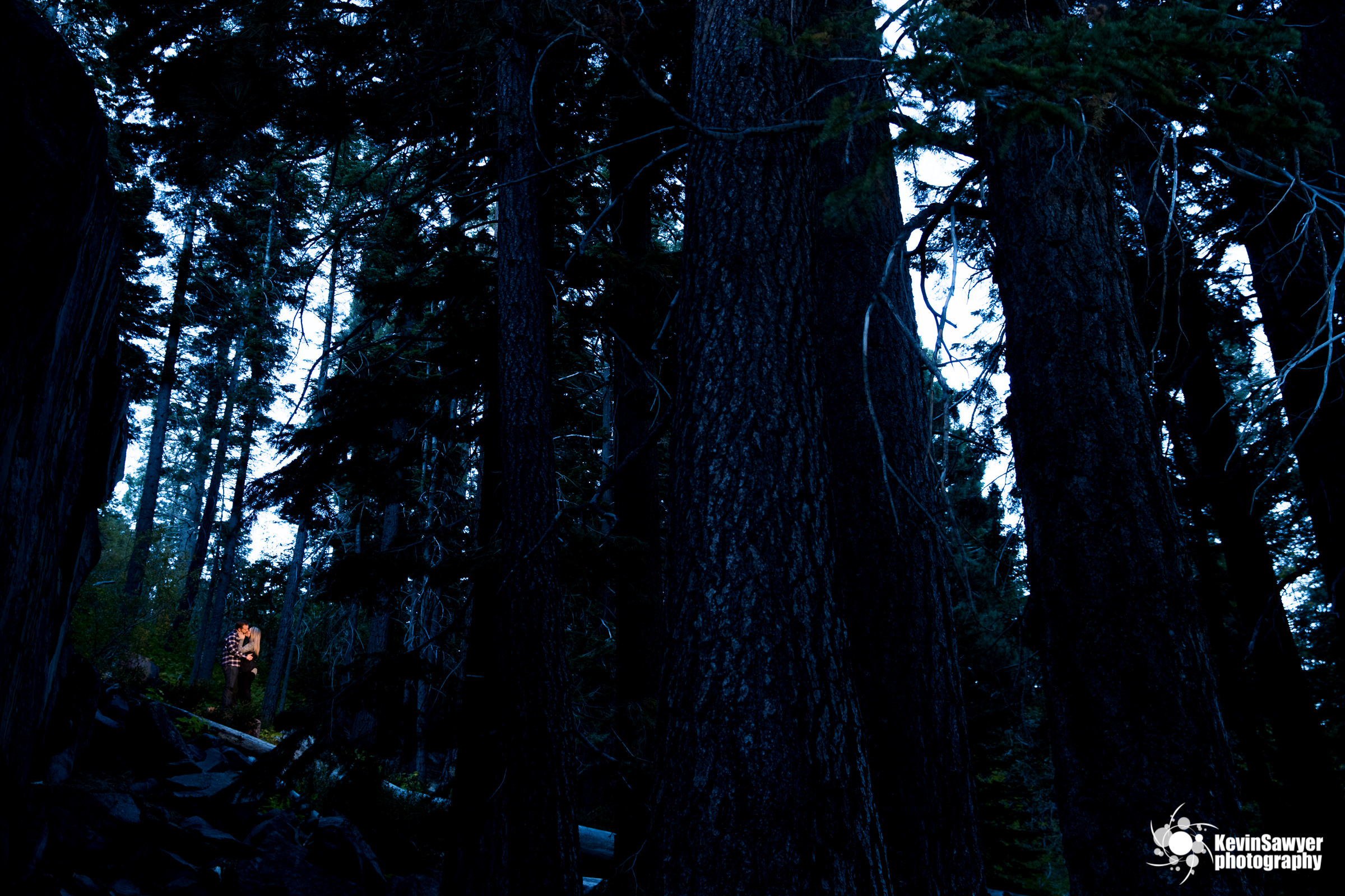 lake-tahoe-wedding-photographer-proposal-engagement-emerald-bay-portraits-love-southlake-tahoe