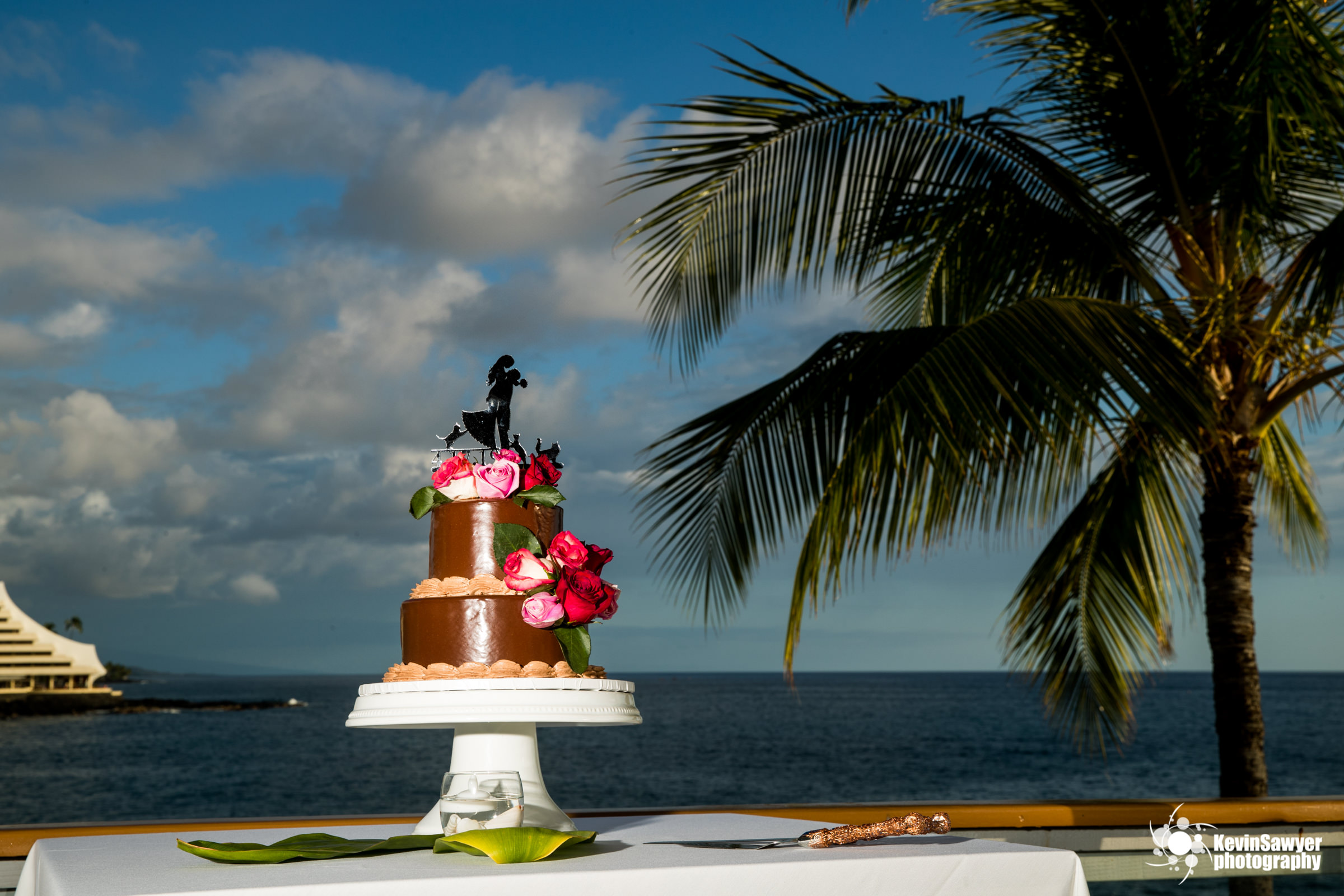 hawaii-big-island-photographer-photography-destination-details-cake