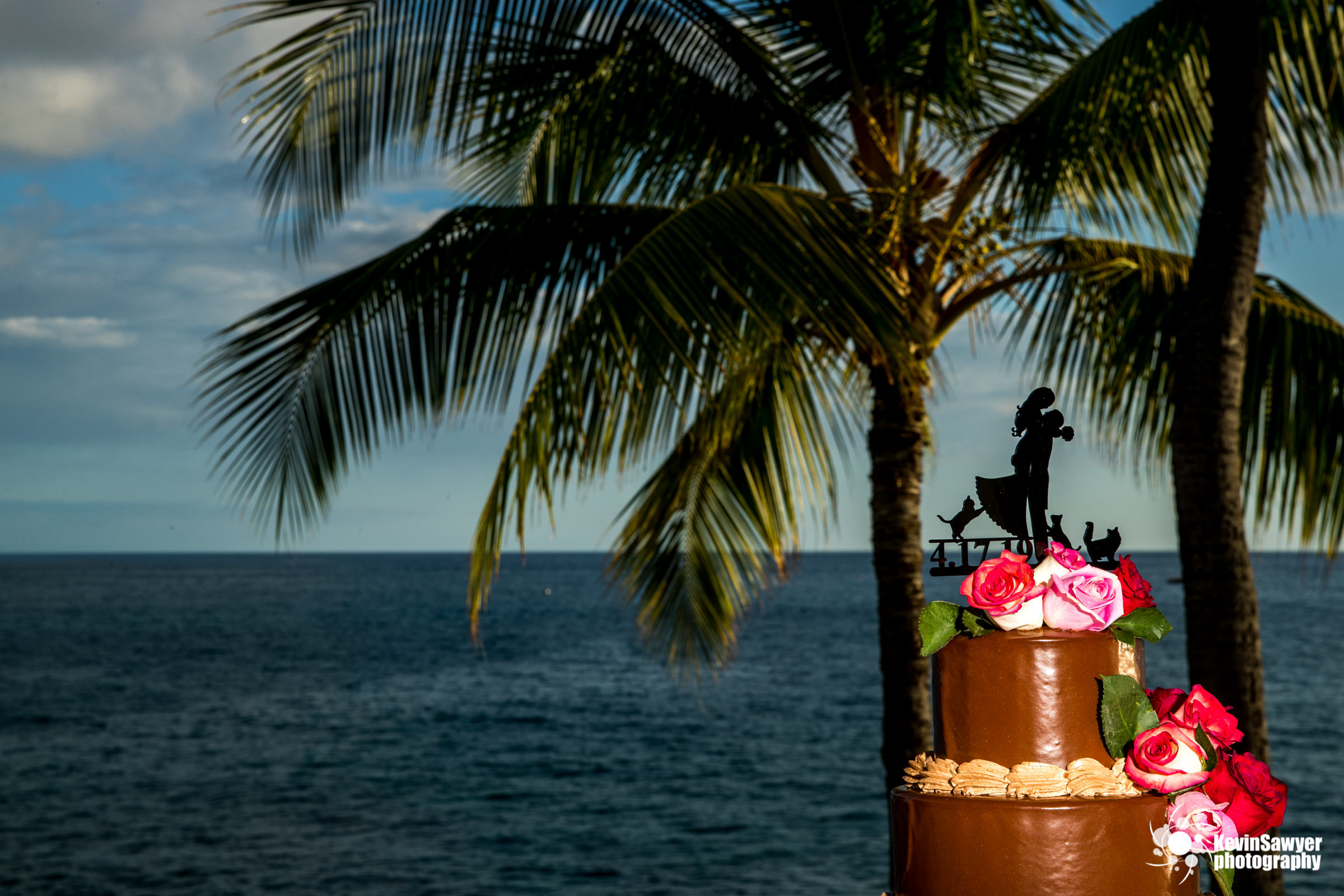 hawaii-big-island-photographer-photography-destination-details-cake