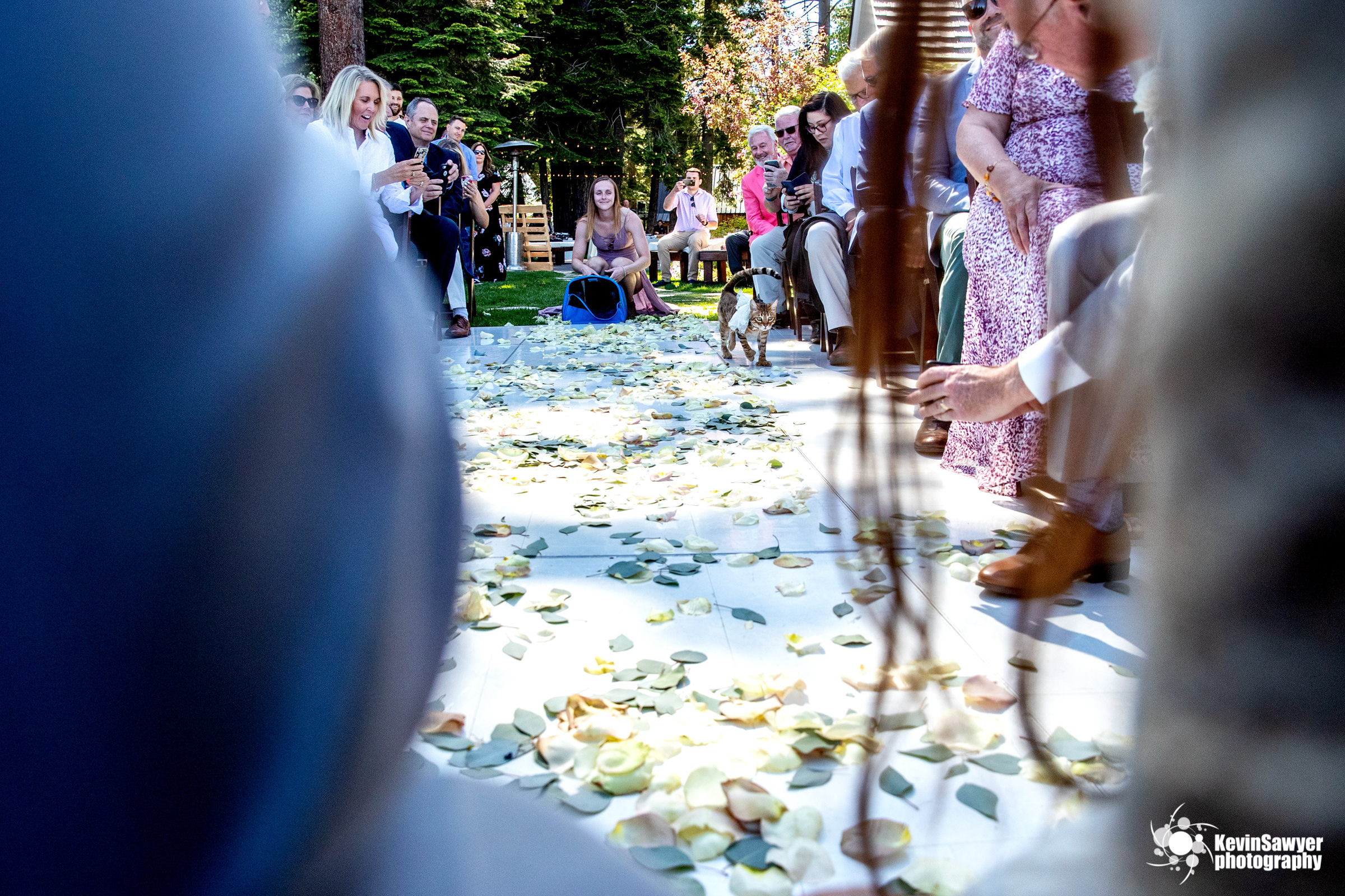 lake-tahoe-wedding-photographer-photography-homewood-top-best-truckee