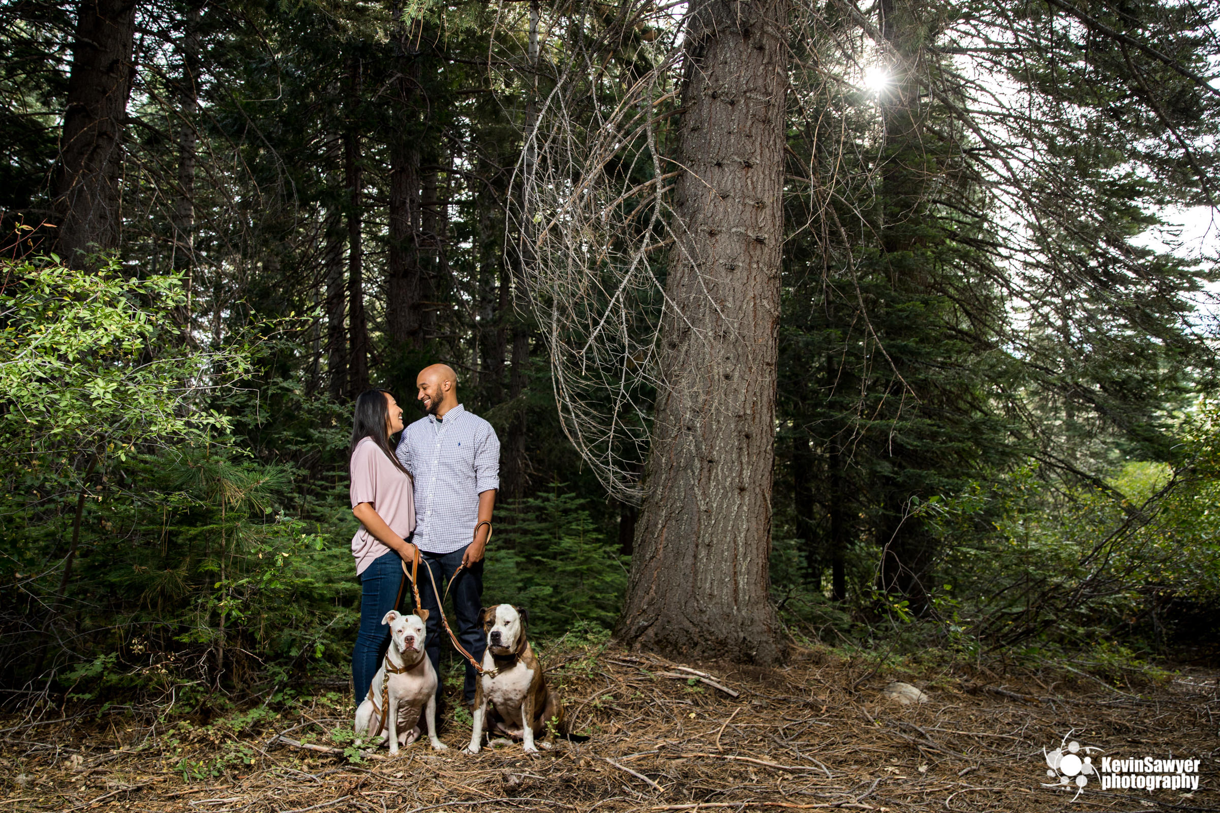 lake-tahoe-truckee-reno-engagement-portrait-dog-pet-photographer-photography