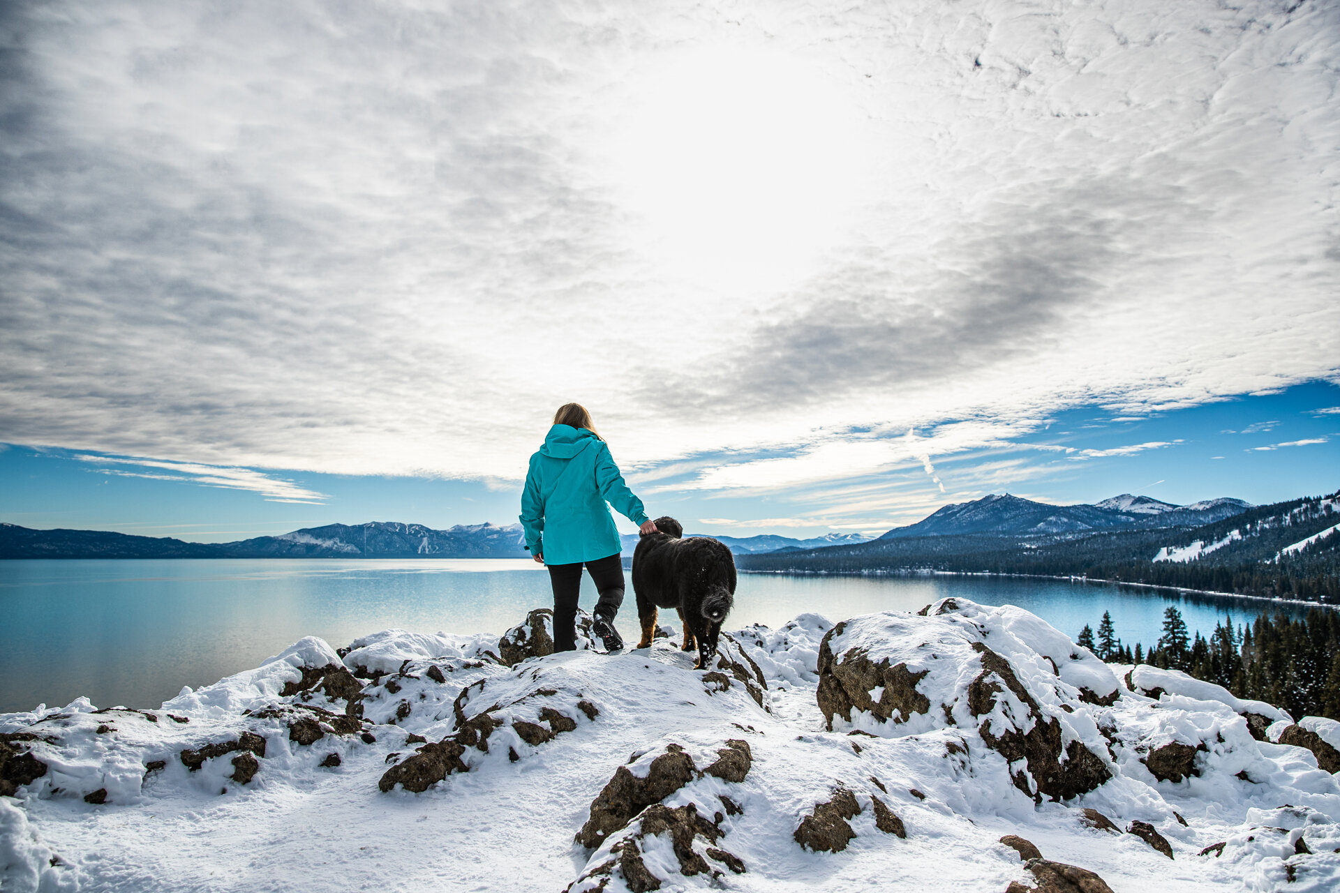 lake-tahoe-dog-canine-pet-photographer-reno-photoraphy-snow-winter-mountain-truckee-reno