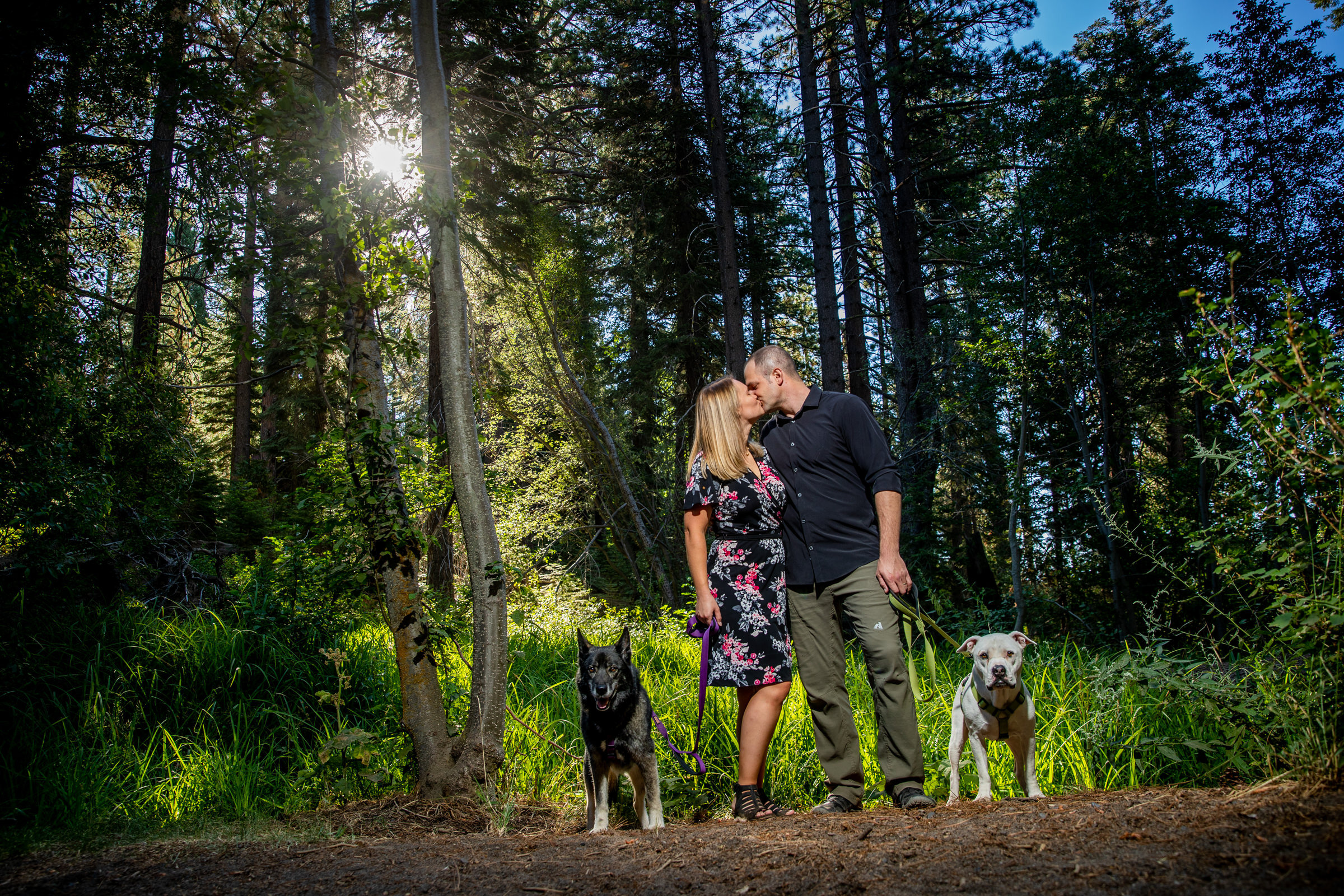 Lake-Tahoe-Family-Dog-Pet-Portrait-Photographer-photography-truckee-reno-top-best