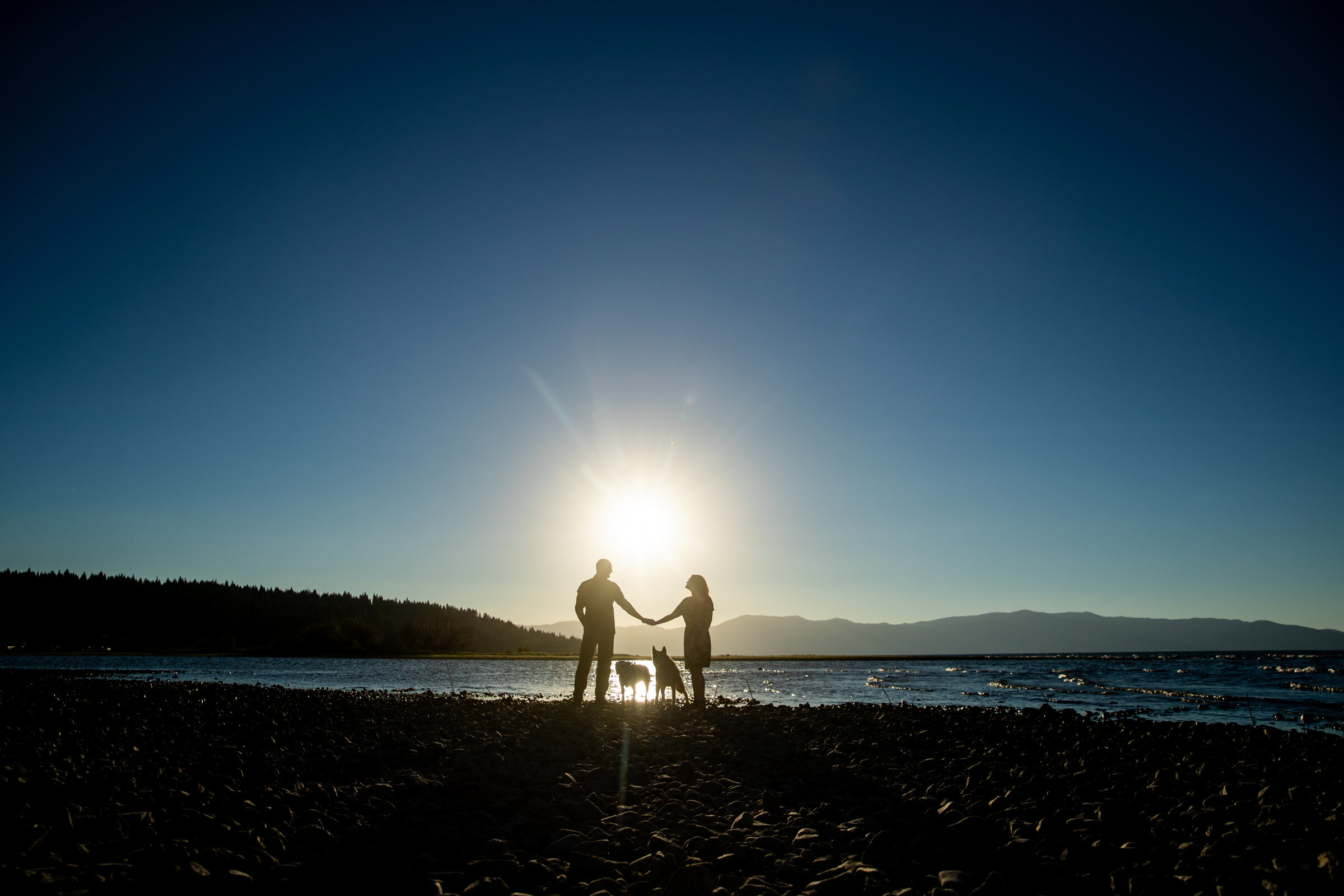 Lake-Tahoe-Family-Dog-Pet-Portrait-Photographer-photography-truckee-reno-top-best