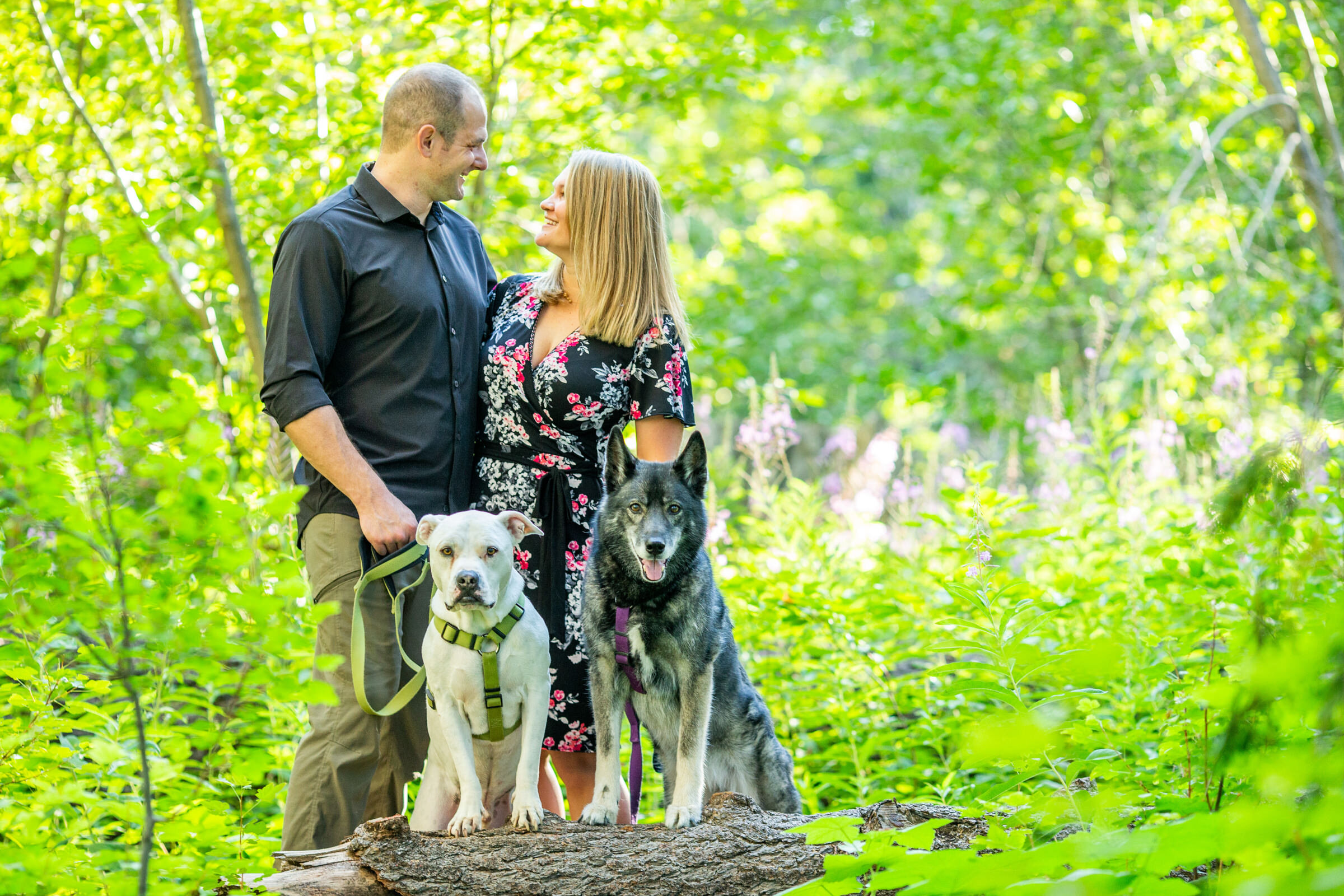 Lake-Tahoe-Family-Dog-Pet-Portrait-Photographer-photography-truckee-reno-top-best