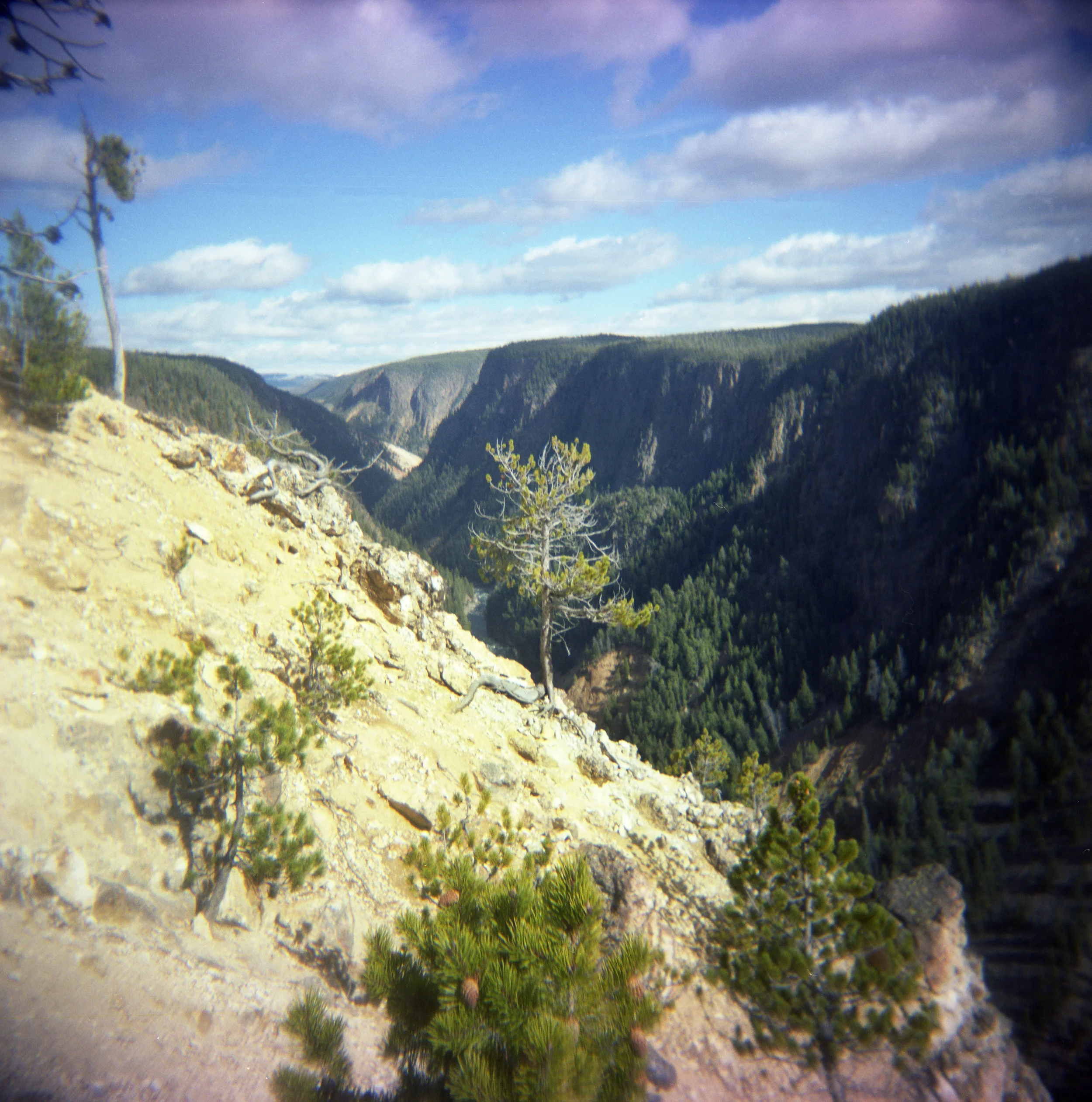 Yellowstone004.jpg